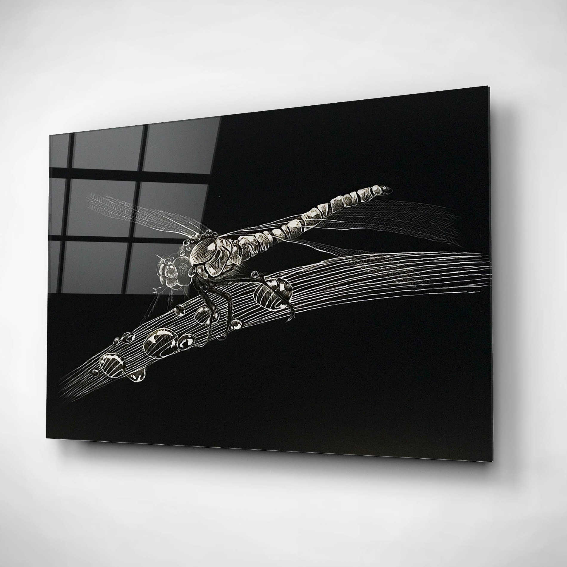 Epic Art 'Dragonfly' by Avery Multer, Acrylic Glass Wall Art,16x12