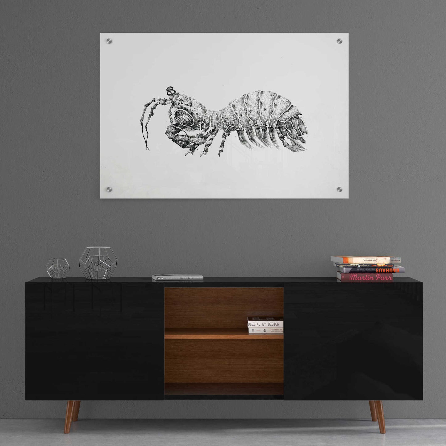Epic Art 'Peacock Mantis Shrimp' by Avery Multer, Acrylic Glass Wall Art,36x24