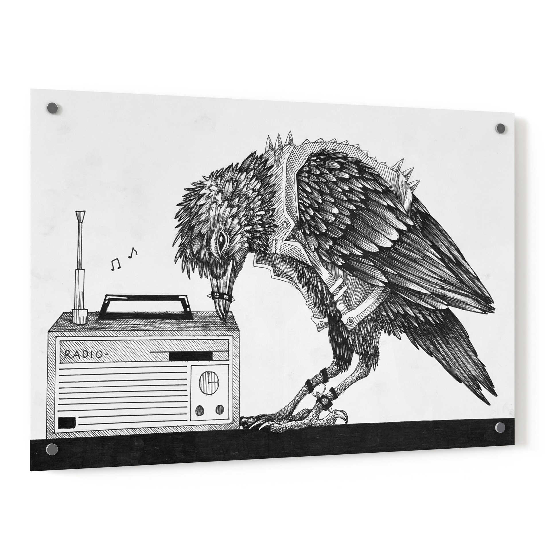 Epic Art 'Heavy Metal Crow' by Avery Multer, Acrylic Glass Wall Art,36x24