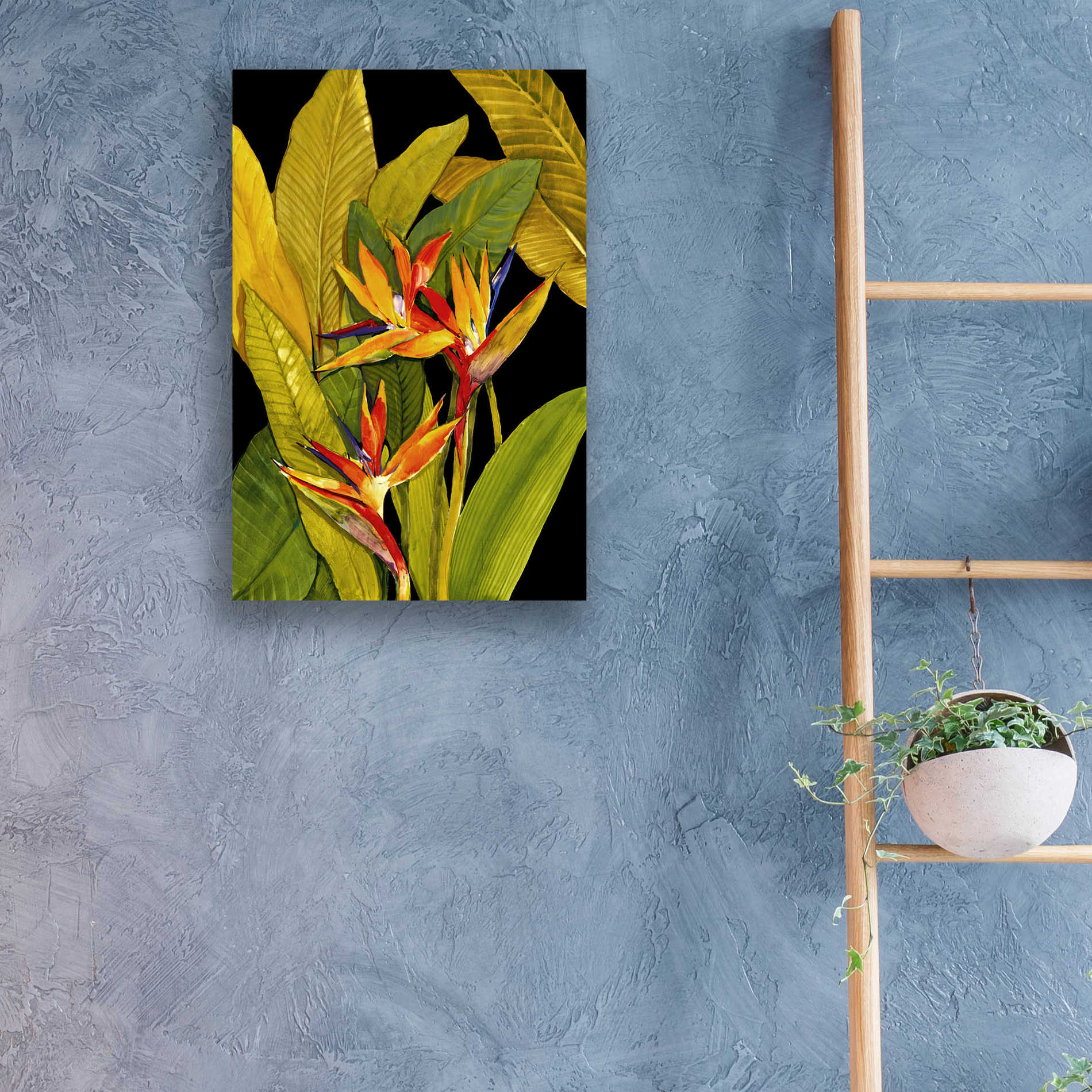 Epic Art 'Dramatic Bird of Paradise' by Tim O'Toole, Acrylic Glass Wall Art,16x24