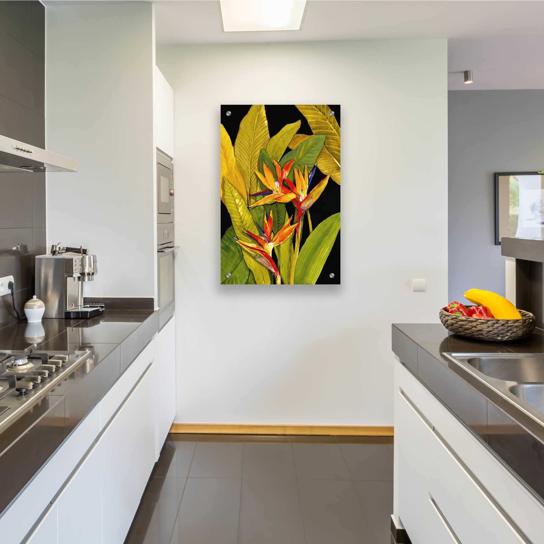 Epic Art 'Dramatic Bird of Paradise' by Tim O'Toole, Acrylic Glass Wall Art,24x36