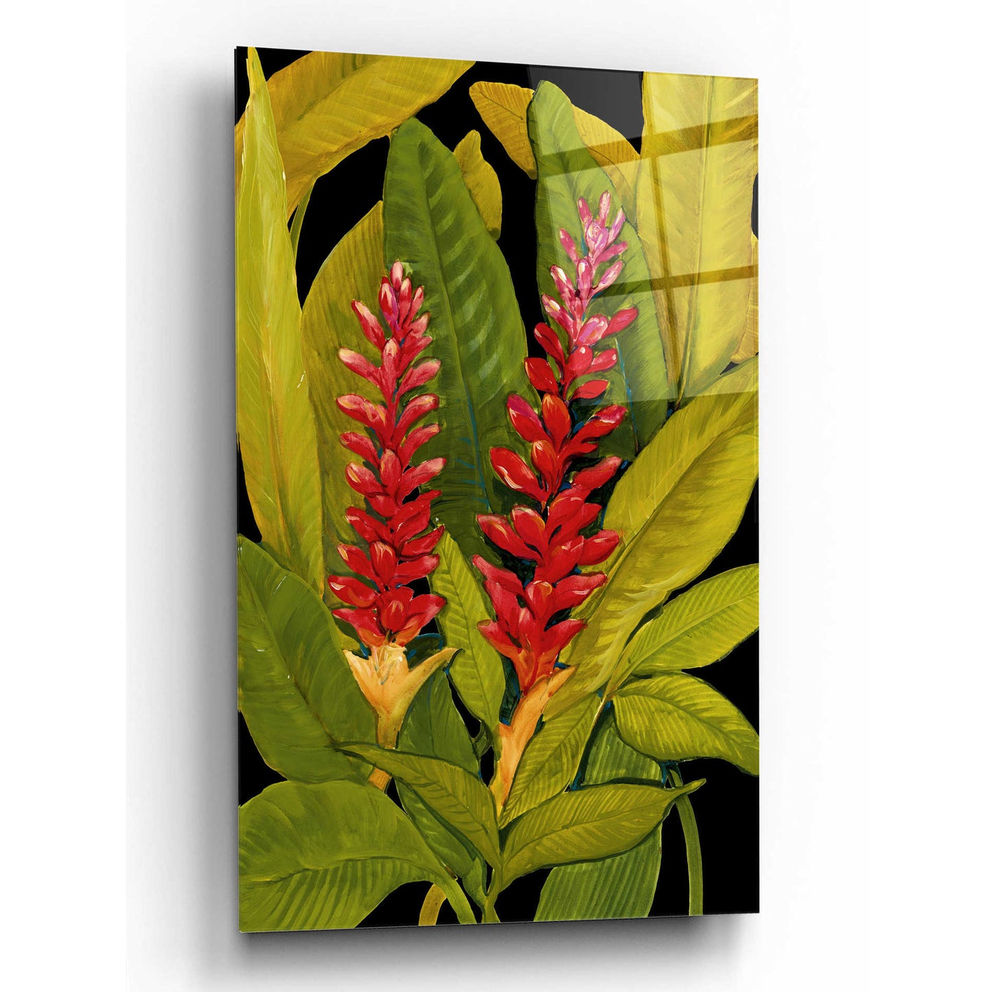 Epic Art 'Dramatic Red Ginger' by Tim O'Toole, Acrylic Glass Wall Art