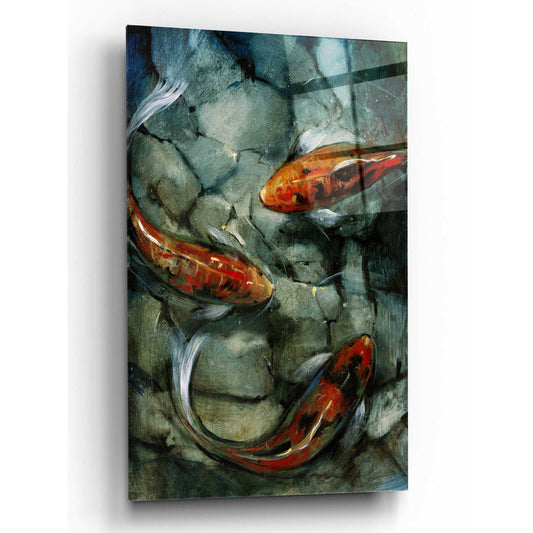 Epic Art 'Tres Koi II' by Tim O'Toole, Acrylic Glass Wall Art