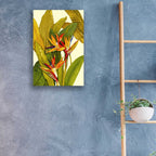 Epic Art 'Tropical Bird of Paradise' by Tim O'Toole, Acrylic Glass Wall Art,16x24