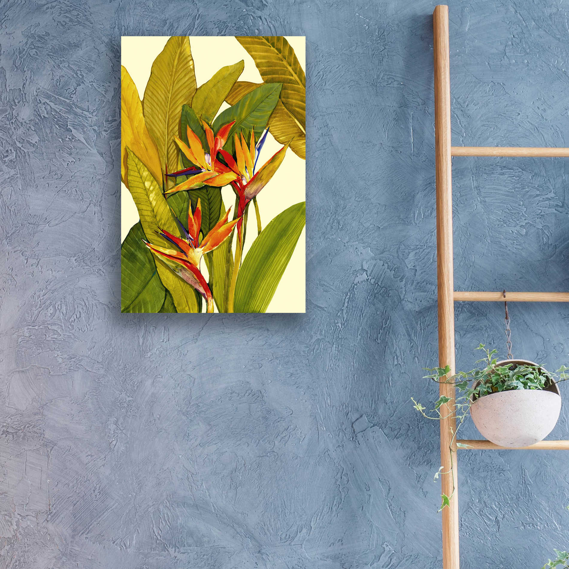 Epic Art 'Tropical Bird of Paradise' by Tim O'Toole, Acrylic Glass Wall Art,16x24