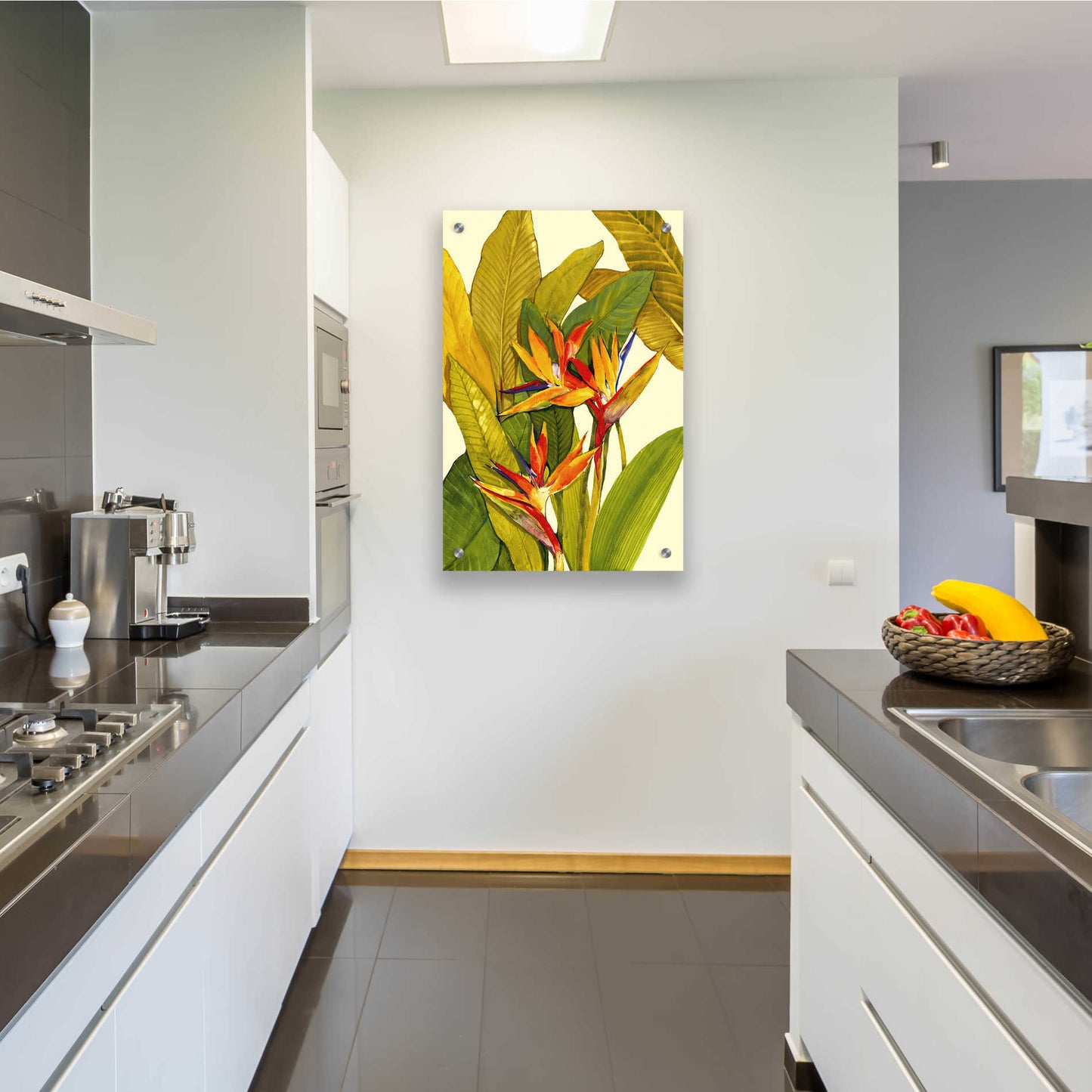 Epic Art 'Tropical Bird of Paradise' by Tim O'Toole, Acrylic Glass Wall Art,24x36