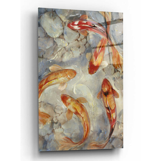 Epic Art 'Vibrant Koi II' by Tim O'Toole, Acrylic Glass Wall Art