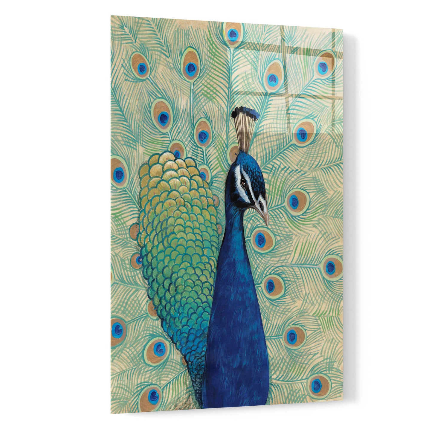 Epic Art 'Blue Peacock I' by Tim O'Toole, Acrylic Glass Wall Art,16x24