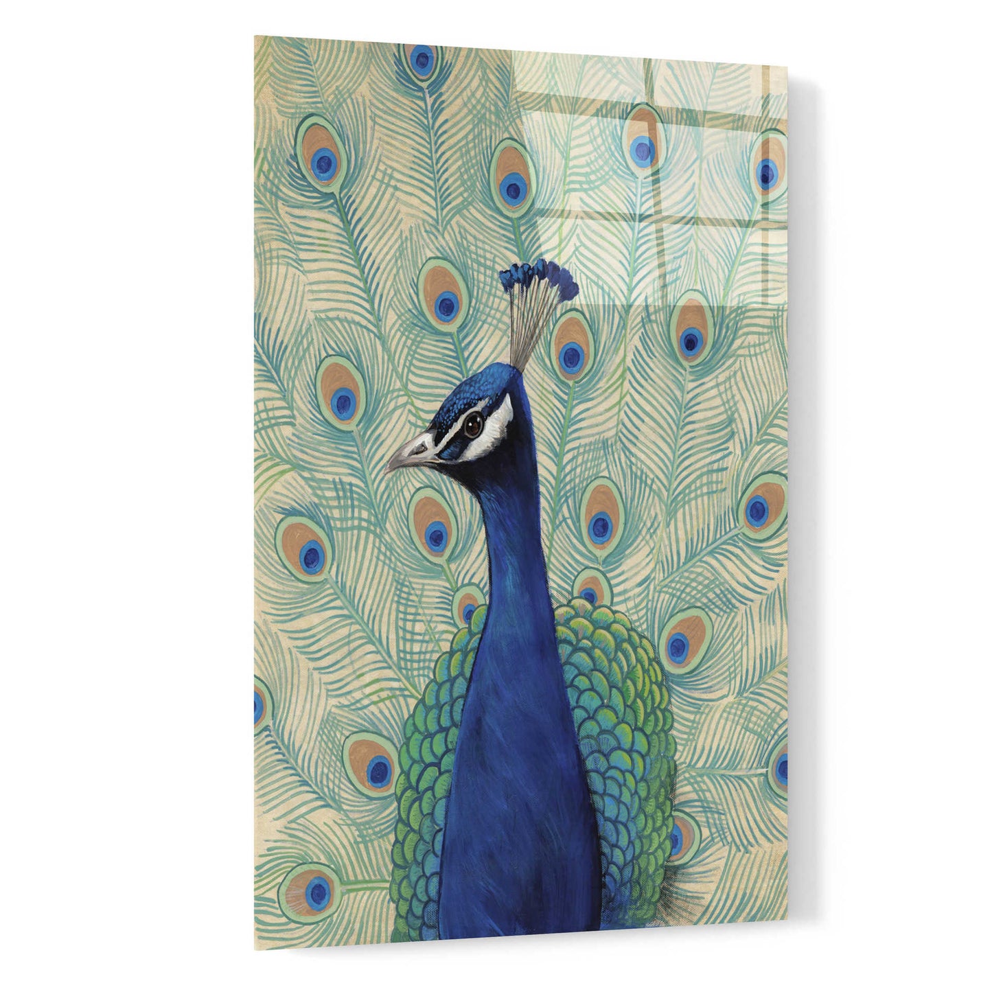 Epic Art 'Blue Peacock II' by Tim O'Toole, Acrylic Glass Wall Art,16x24