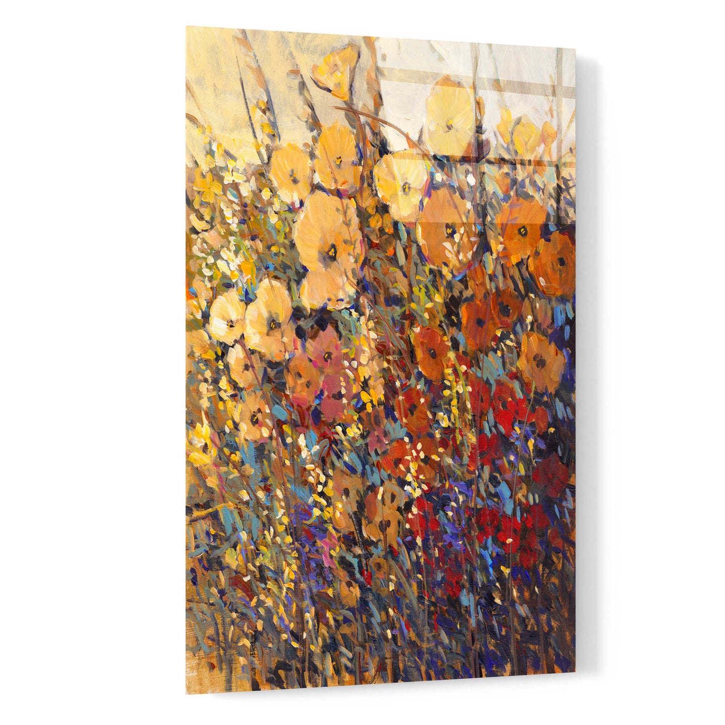 Epic Art 'Bright & Bold Flowers II' by Tim O'Toole, Acrylic Glass Wall Art,16x24