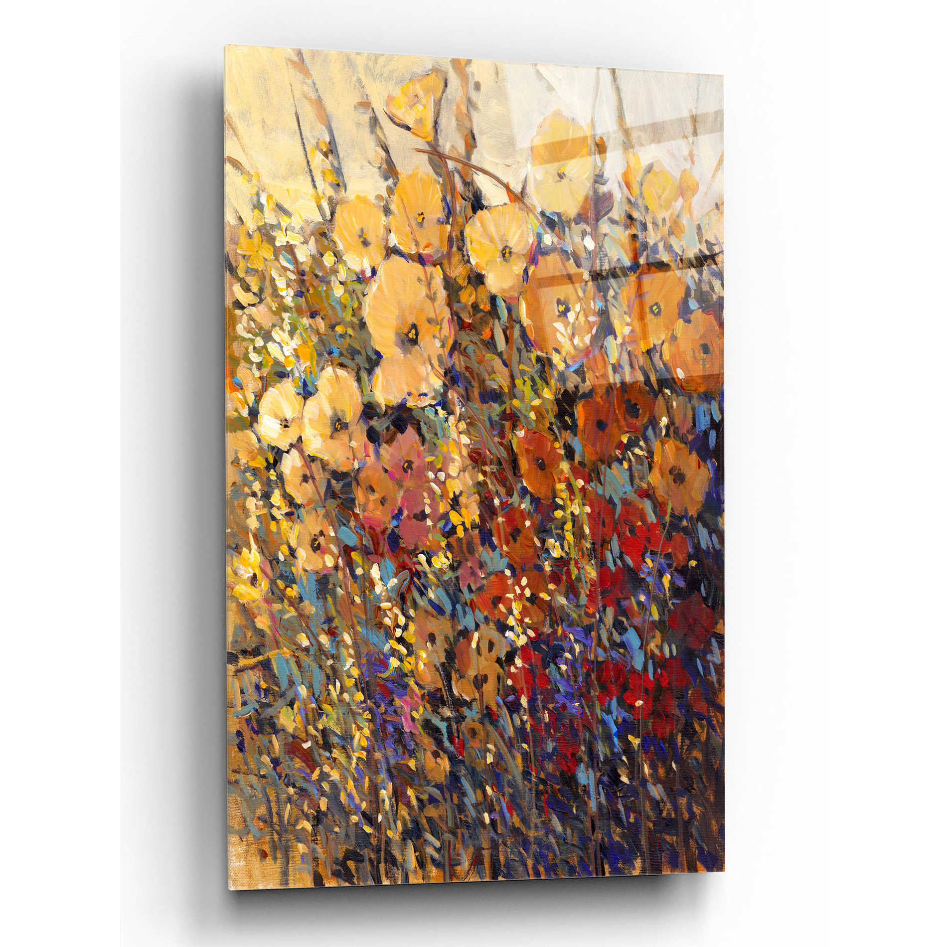 Epic Art 'Bright & Bold Flowers II' by Tim O'Toole, Acrylic Glass Wall Art