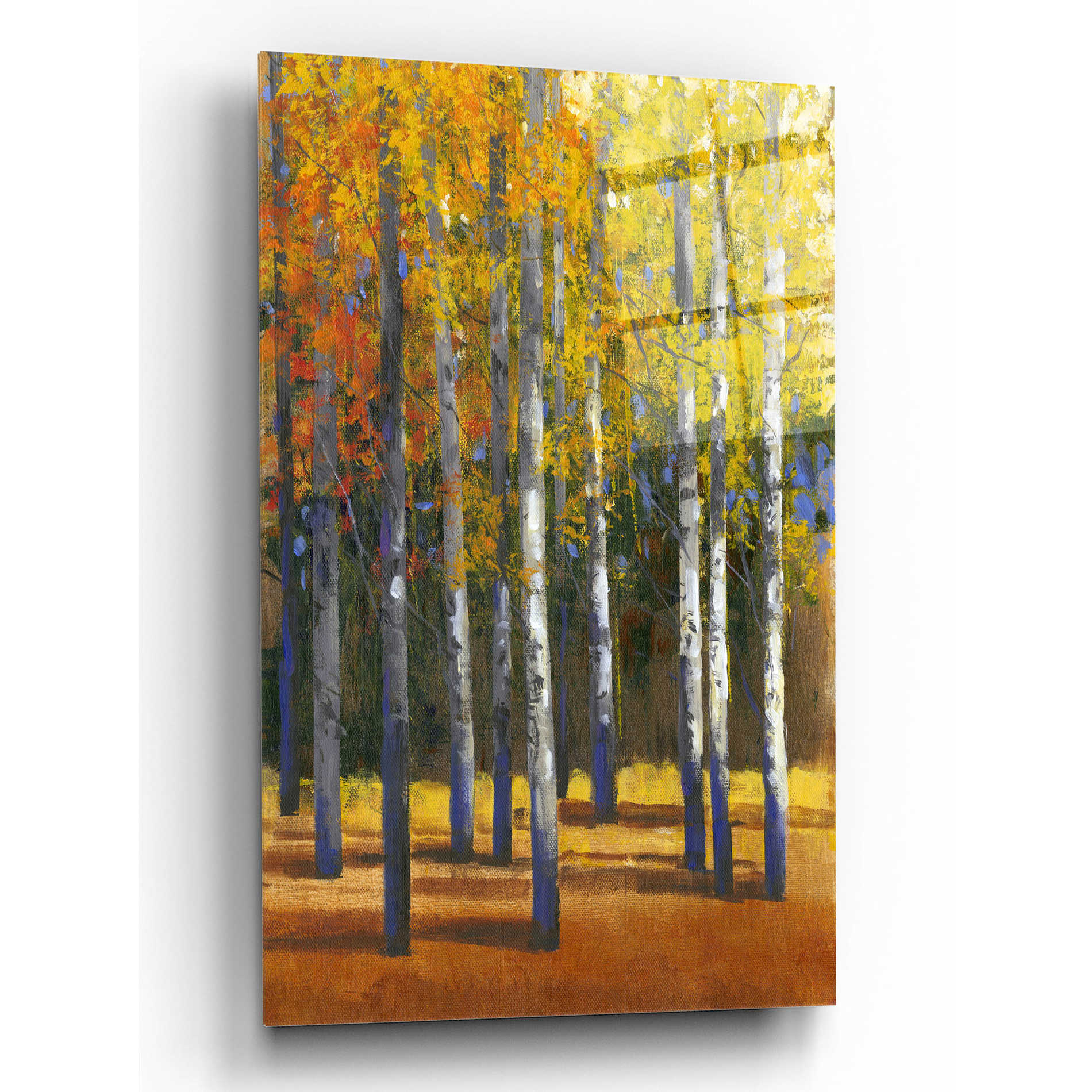 Epic Art 'Fall in Glory I' by Tim O'Toole, Acrylic Glass Wall Art,12x16