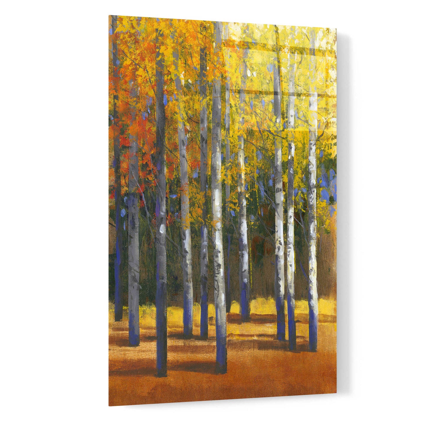 Epic Art 'Fall in Glory I' by Tim O'Toole, Acrylic Glass Wall Art,16x24