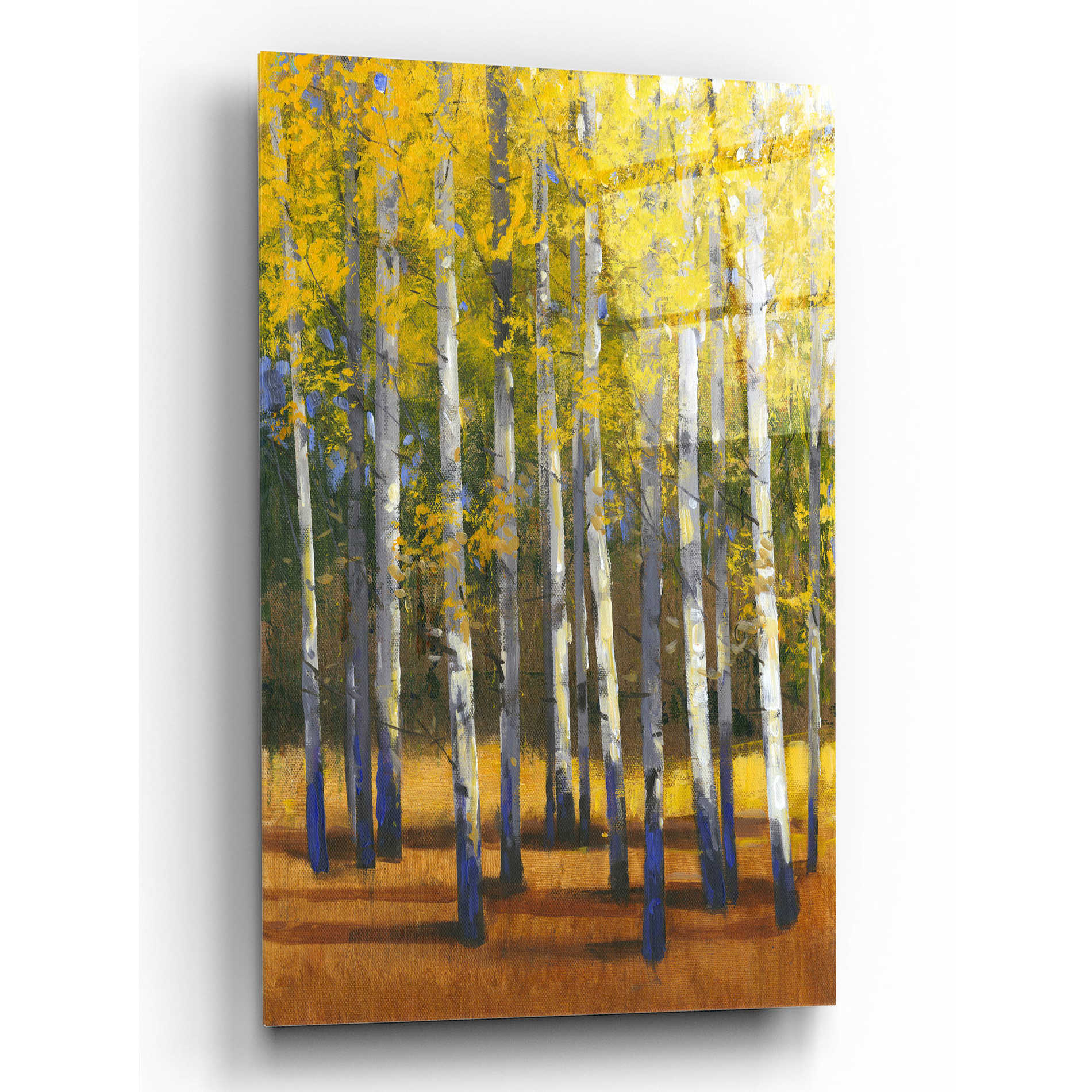 Epic Art 'Fall in Glory II' by Tim O'Toole, Acrylic Glass Wall Art,12x16