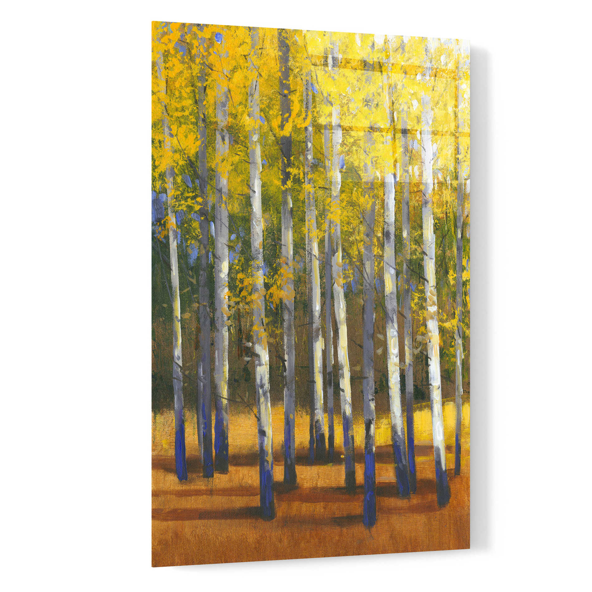 Epic Art 'Fall in Glory II' by Tim O'Toole, Acrylic Glass Wall Art,16x24