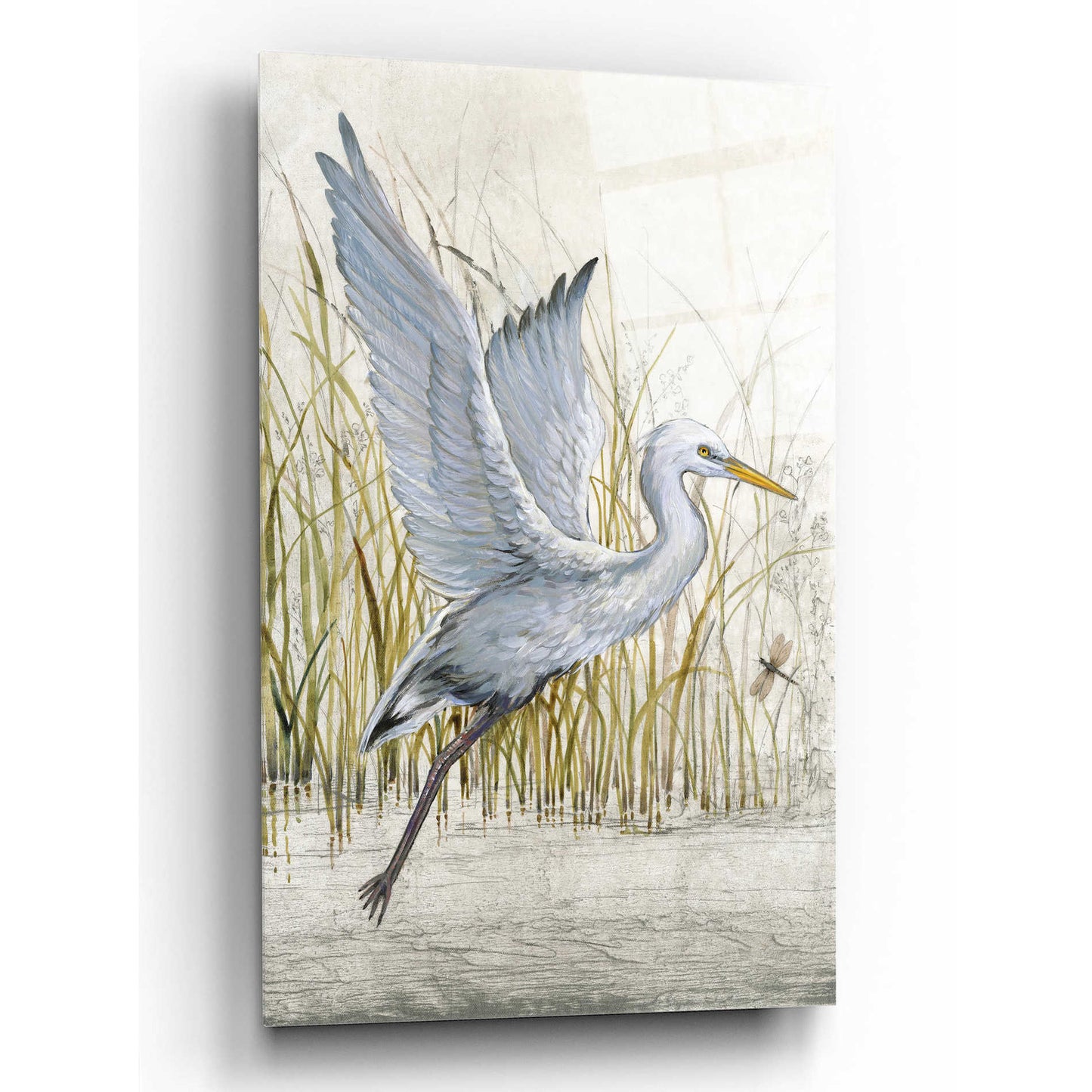 Epic Art 'Heron Sanctuary I' by Tim O'Toole, Acrylic Glass Wall Art,12x16