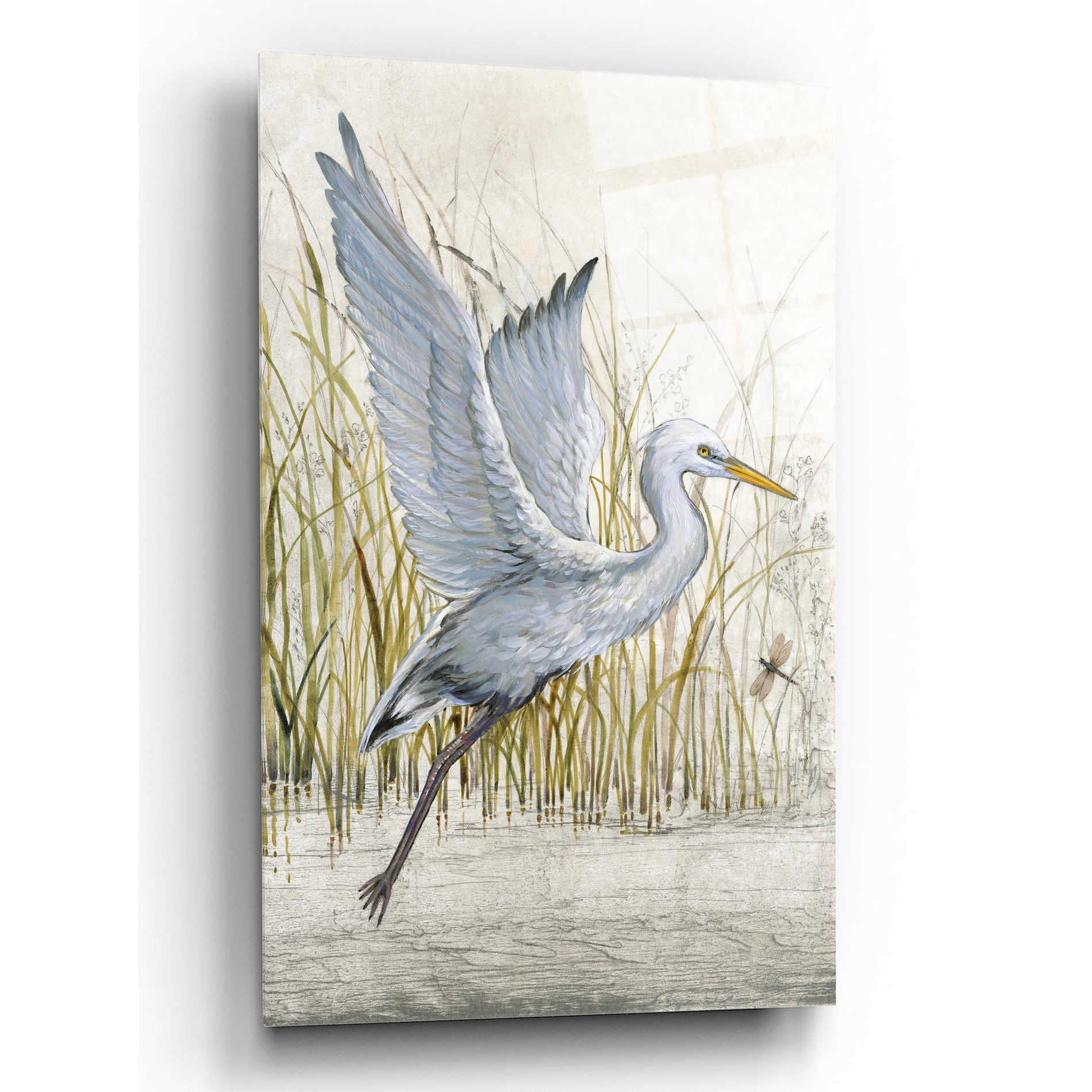 Epic Art 'Heron Sanctuary I' by Tim O'Toole, Acrylic Glass Wall Art,16x24