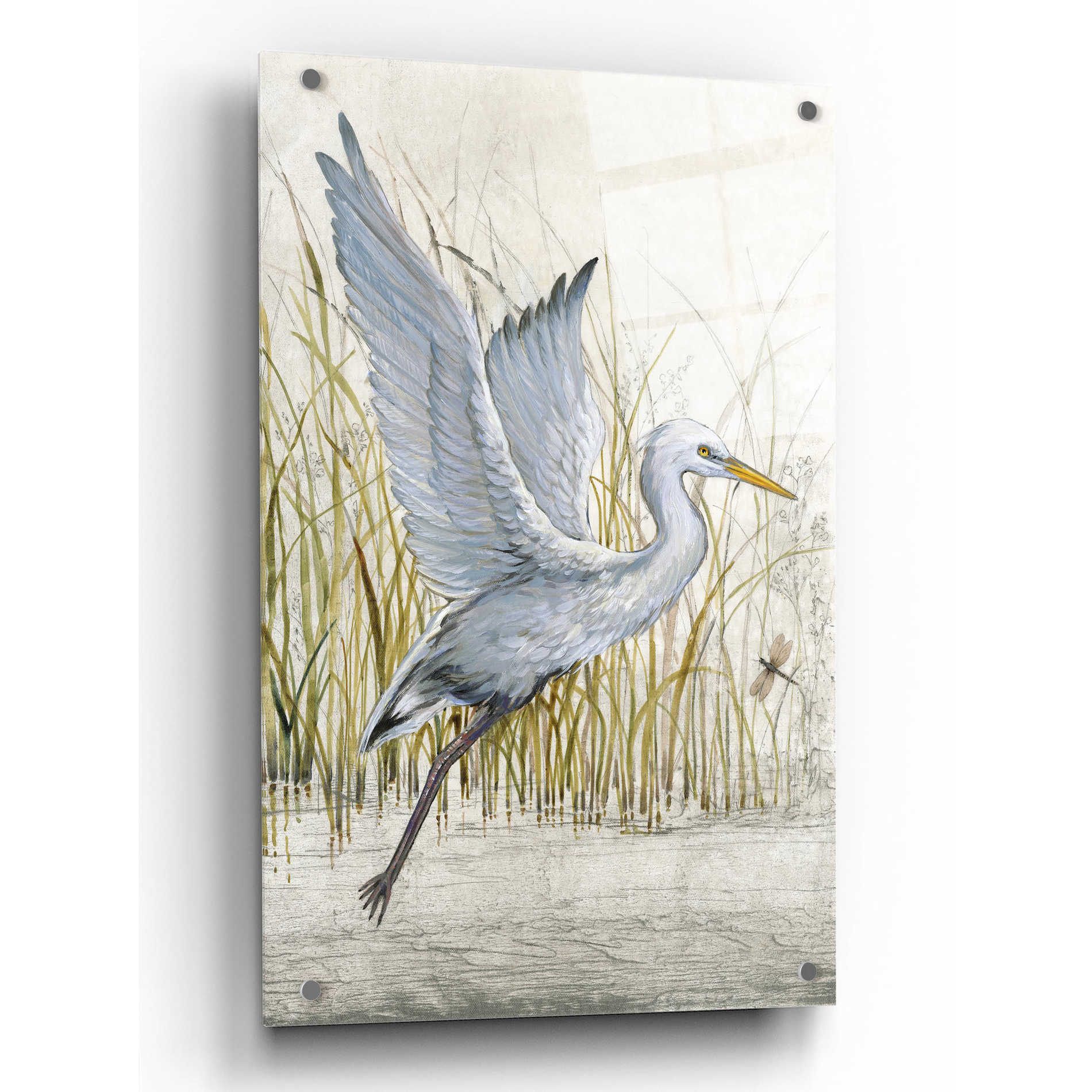 Epic Art 'Heron Sanctuary I' by Tim O'Toole, Acrylic Glass Wall Art,24x36