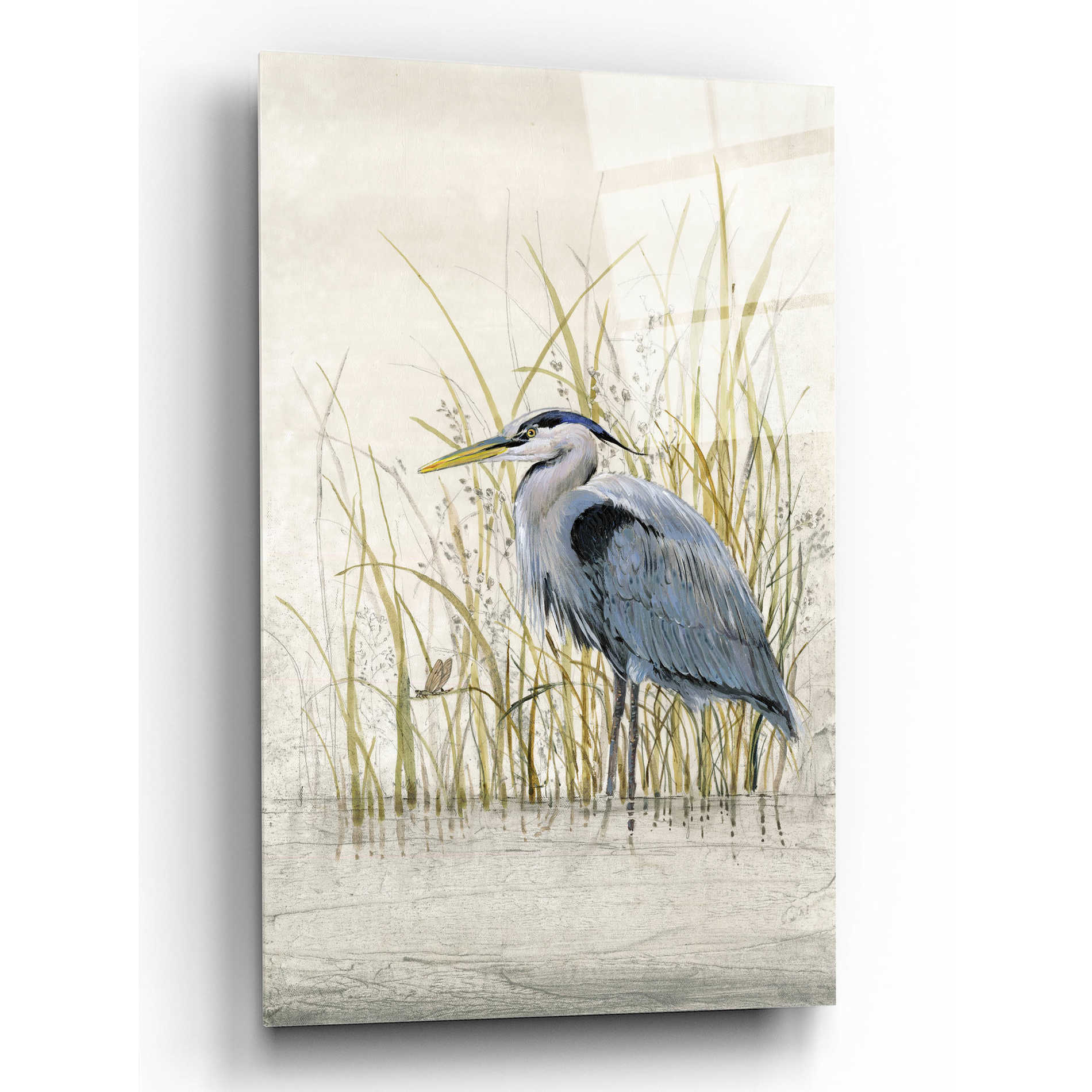 Epic Art 'Heron Sanctuary II' by Tim O'Toole, Acrylic Glass Wall Art,12x16