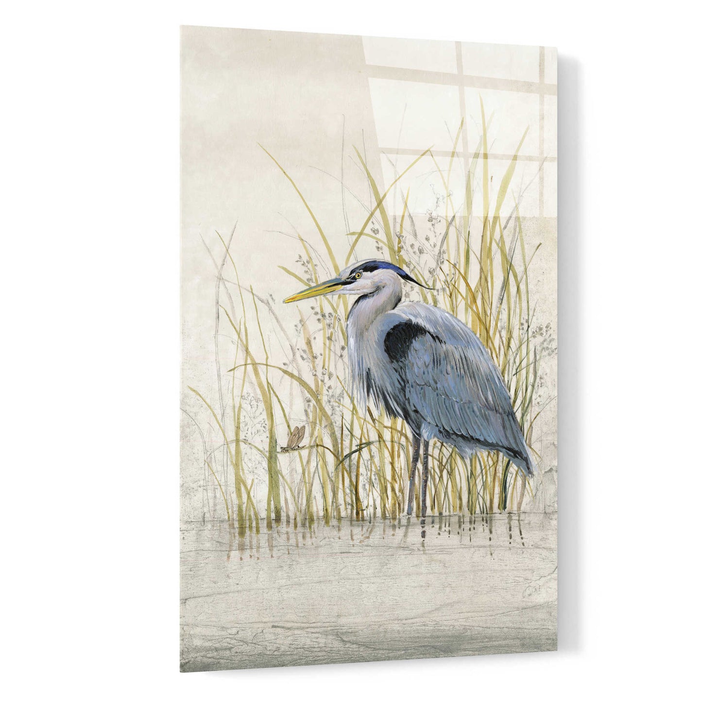 Epic Art 'Heron Sanctuary II' by Tim O'Toole, Acrylic Glass Wall Art,16x24