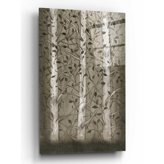 Epic Art 'Intertwine I' by Tim O'Toole, Acrylic Glass Wall Art