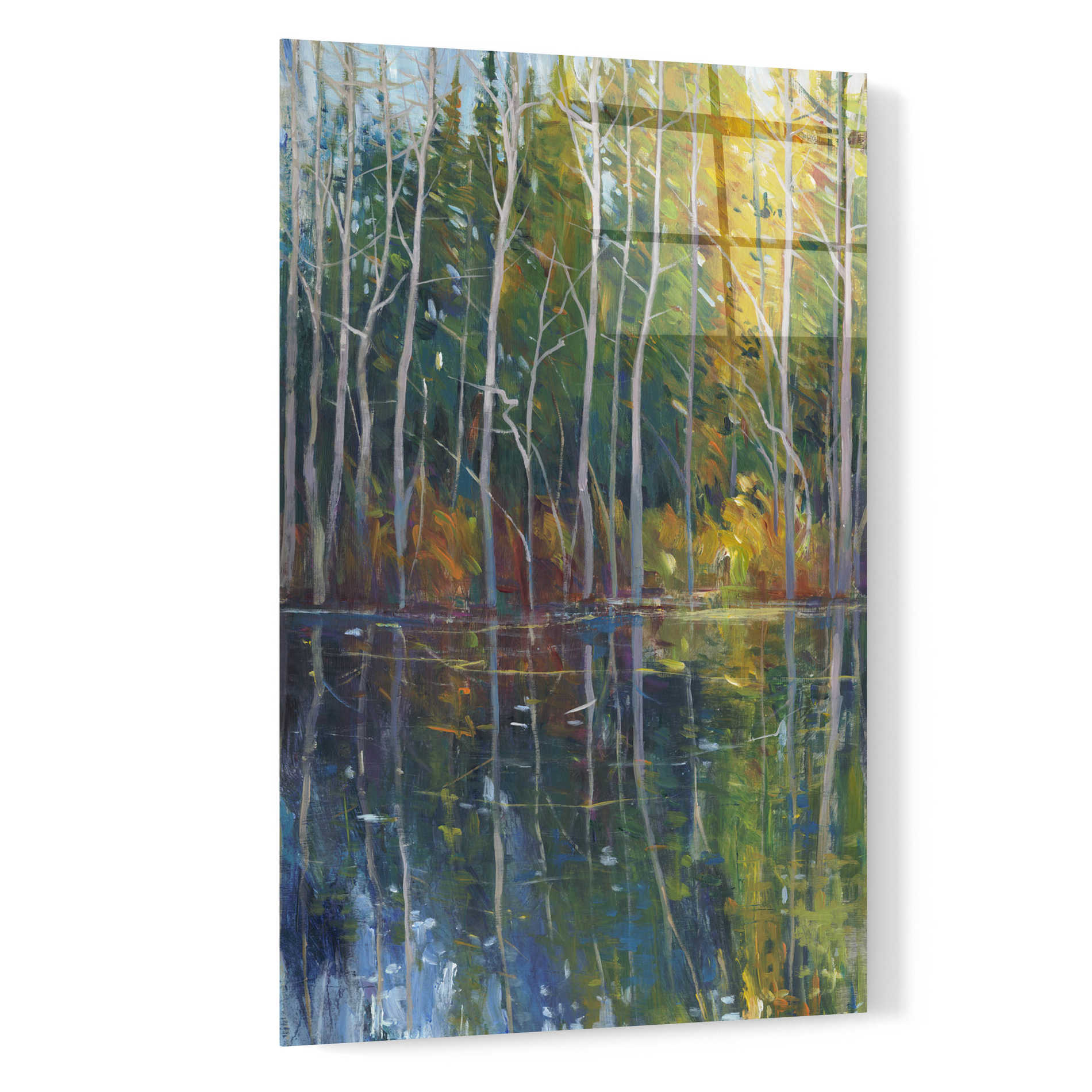 Epic Art 'Pine Reflection II' by Tim O'Toole, Acrylic Glass Wall Art,16x24