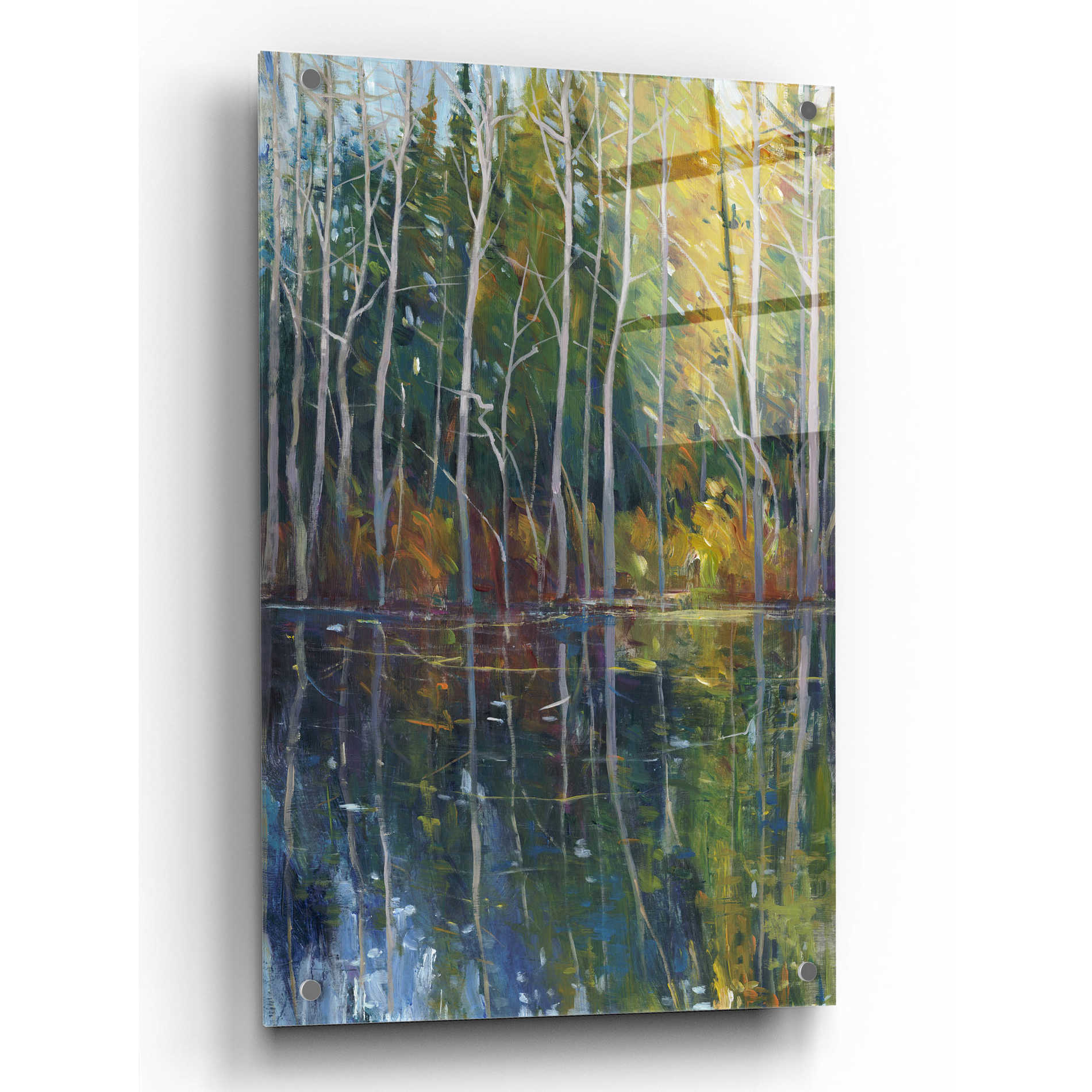 Epic Art 'Pine Reflection II' by Tim O'Toole, Acrylic Glass Wall Art,24x36