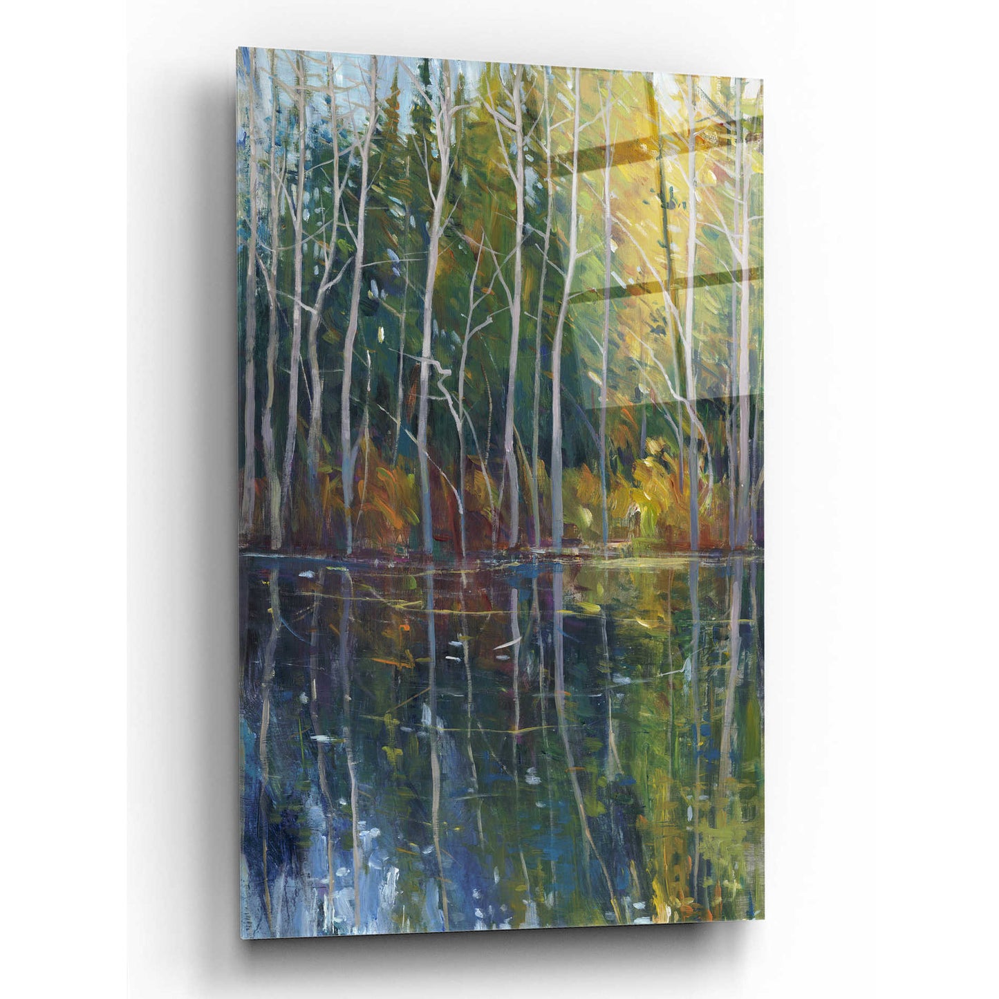 Epic Art 'Pine Reflection II' by Tim O'Toole, Acrylic Glass Wall Art