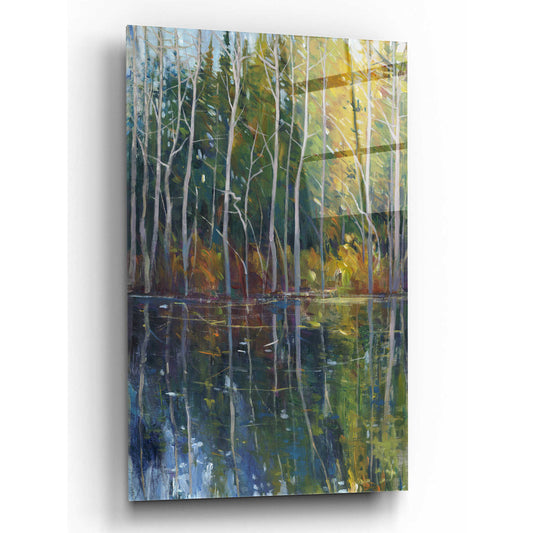 Epic Art 'Pine Reflection II' by Tim O'Toole, Acrylic Glass Wall Art