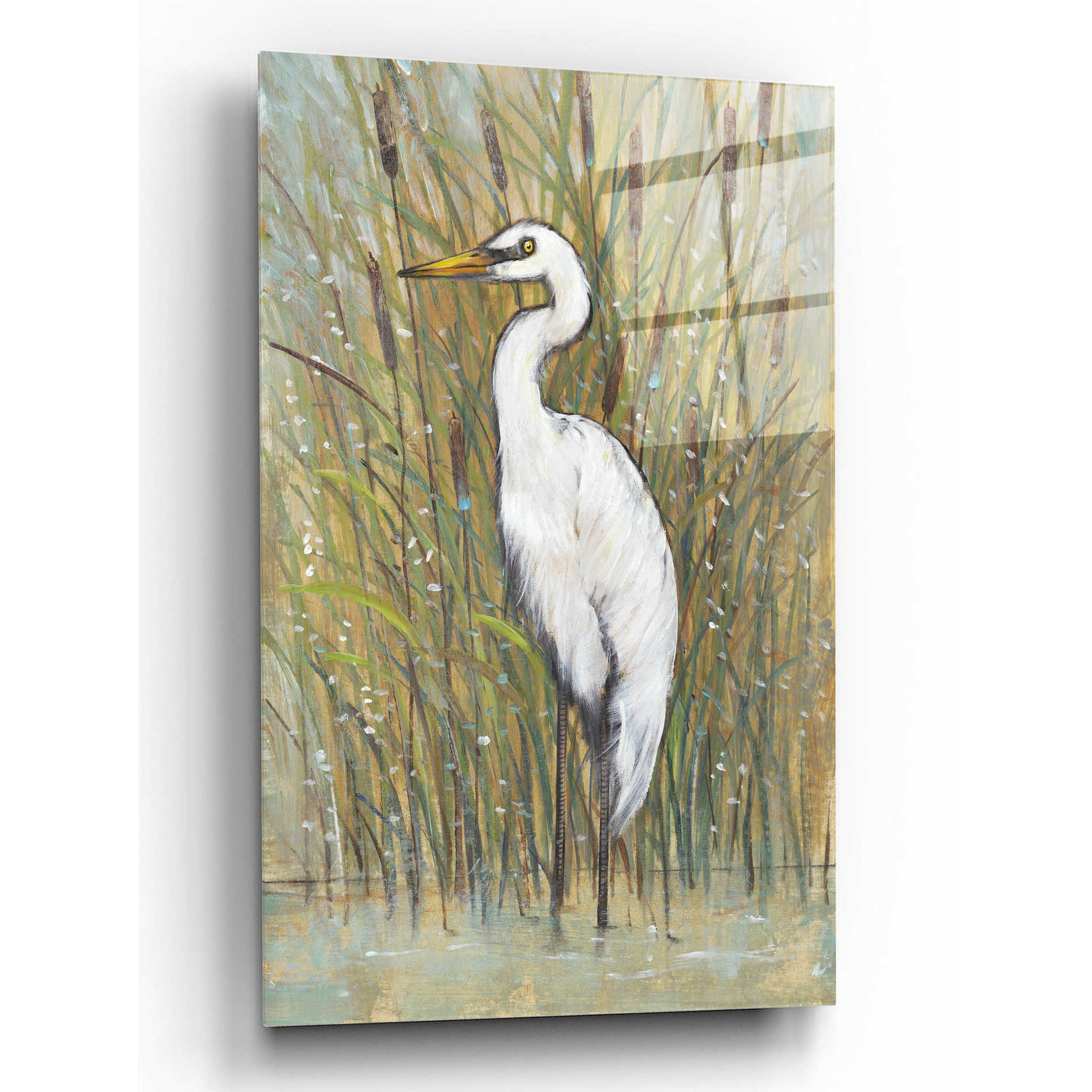 Epic Art 'White Egret I' by Tim O'Toole, Acrylic Glass Wall Art,12x16