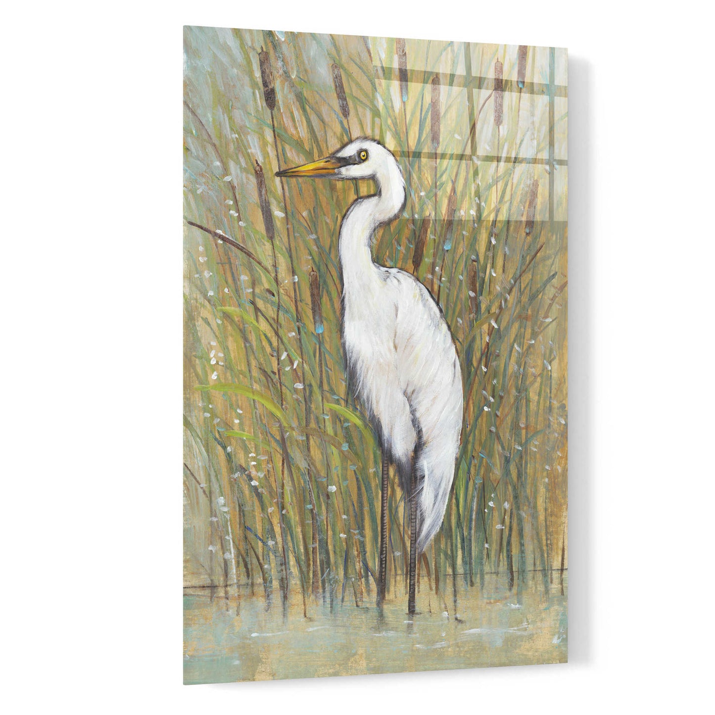 Epic Art 'White Egret I' by Tim O'Toole, Acrylic Glass Wall Art,16x24