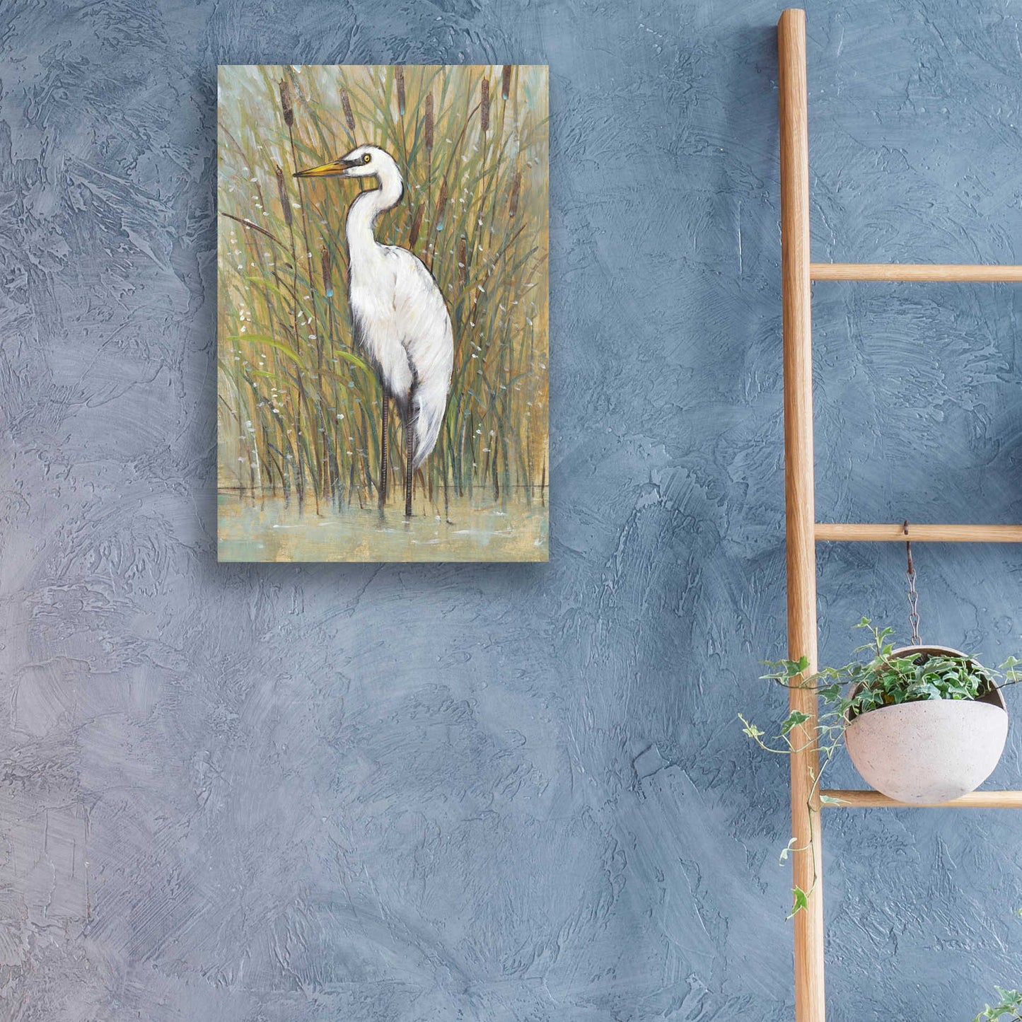 Epic Art 'White Egret I' by Tim O'Toole, Acrylic Glass Wall Art,16x24