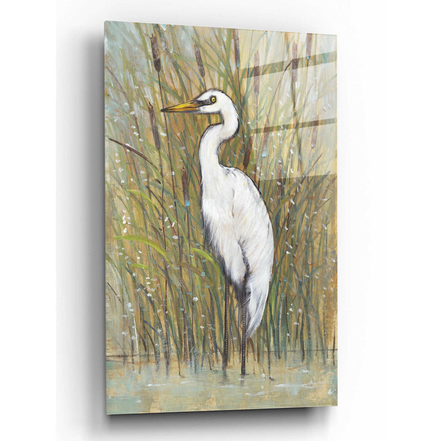 Epic Art 'White Egret I' by Tim O'Toole, Acrylic Glass Wall Art,16x24