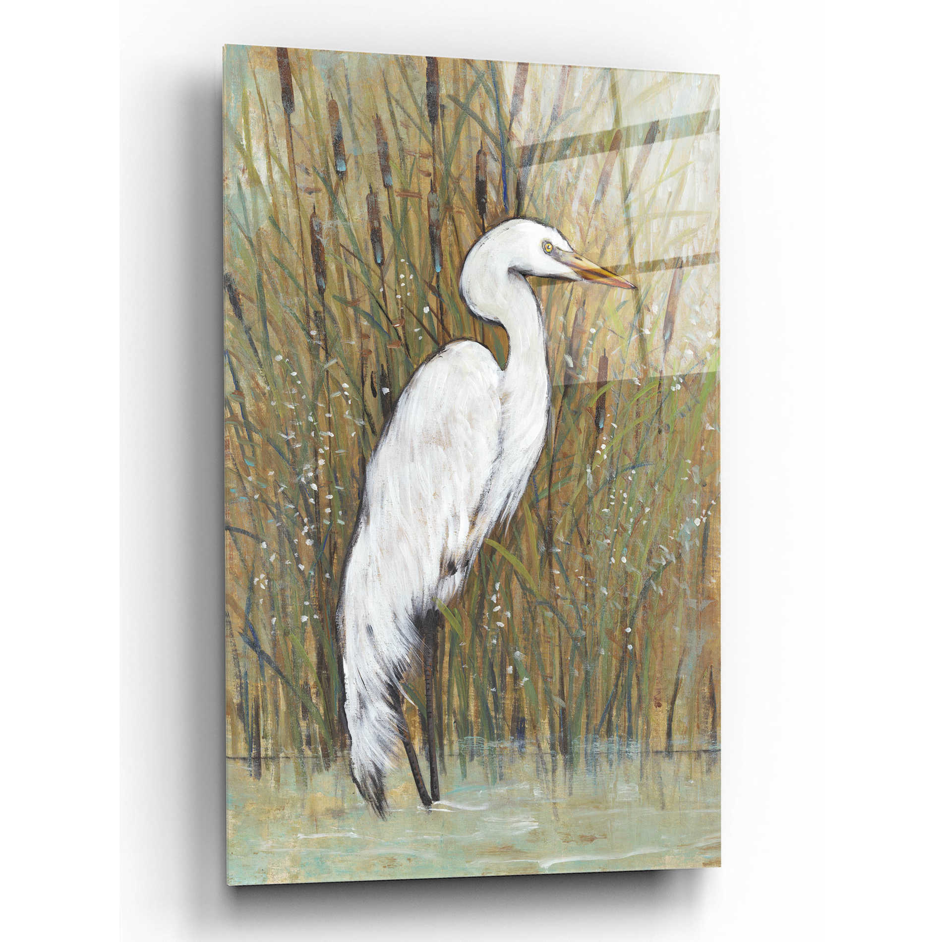 Epic Art 'White Egret II' by Tim O'Toole, Acrylic Glass Wall Art,12x16