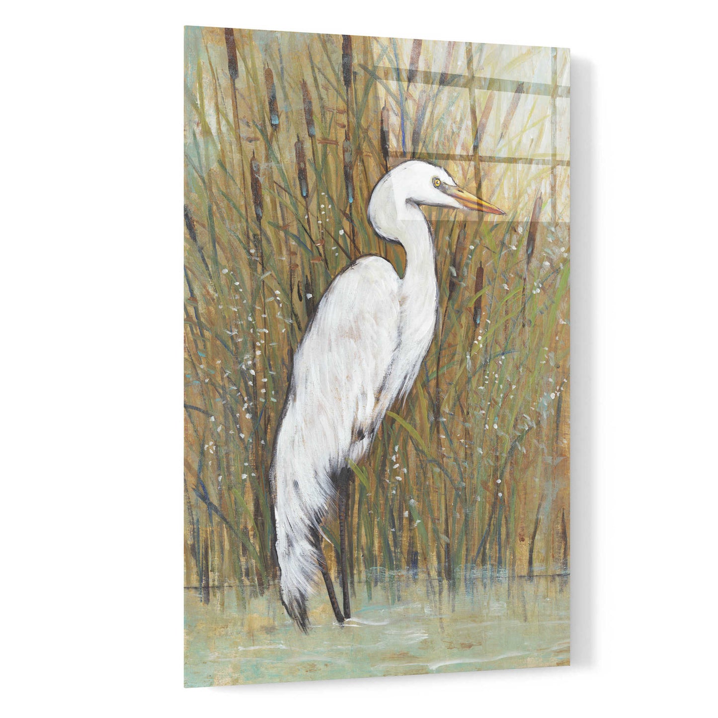 Epic Art 'White Egret II' by Tim O'Toole, Acrylic Glass Wall Art,16x24