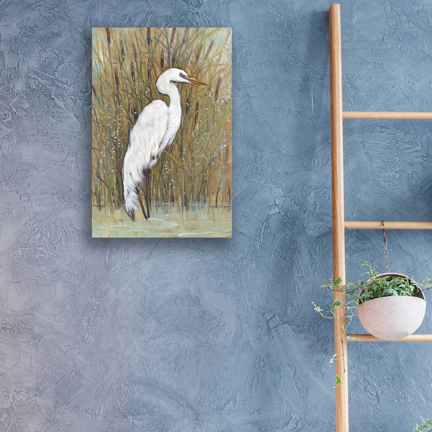 Epic Art 'White Egret II' by Tim O'Toole, Acrylic Glass Wall Art,16x24