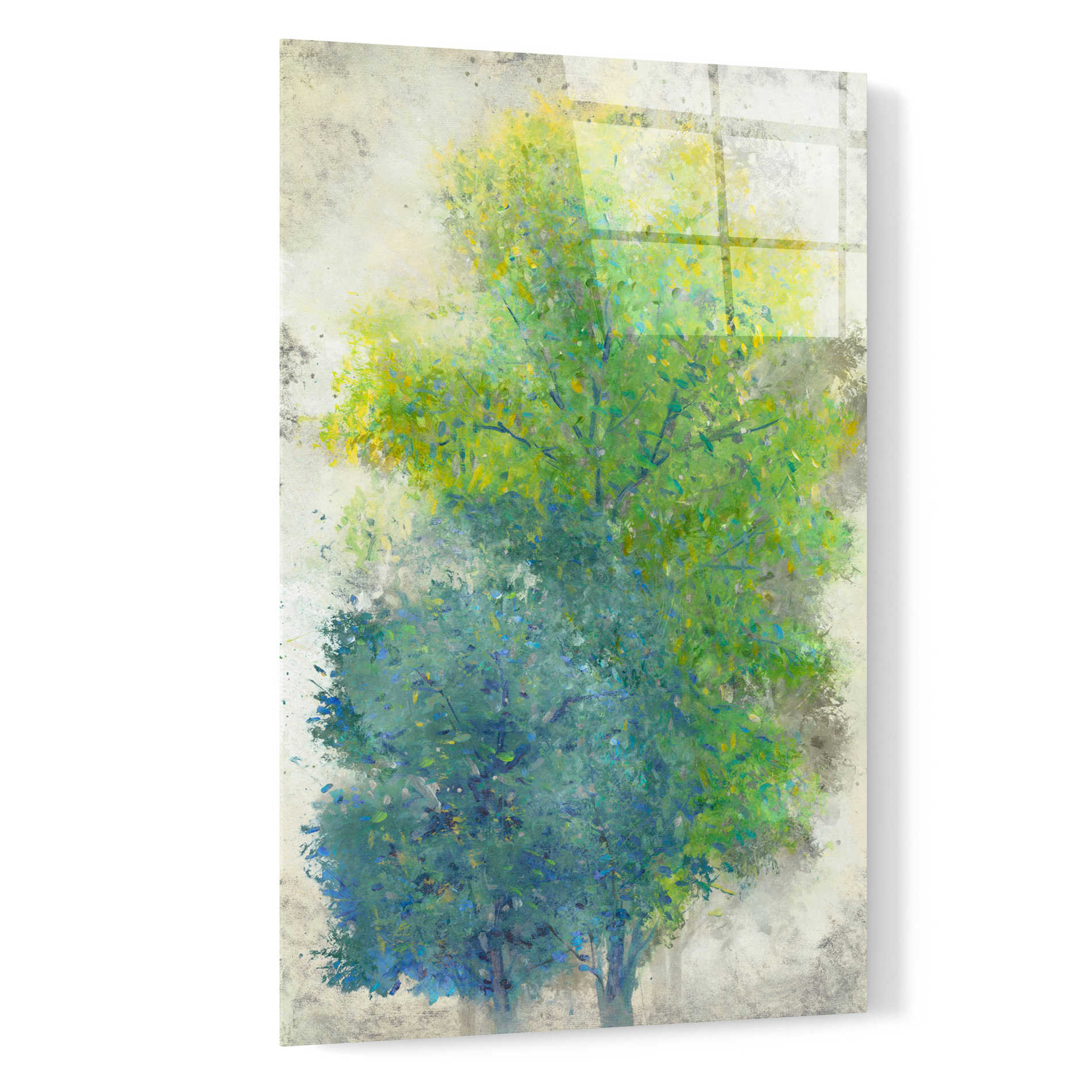 Epic Art 'A Pair of Trees II' by Tim O'Toole, Acrylic Glass Wall Art,16x24