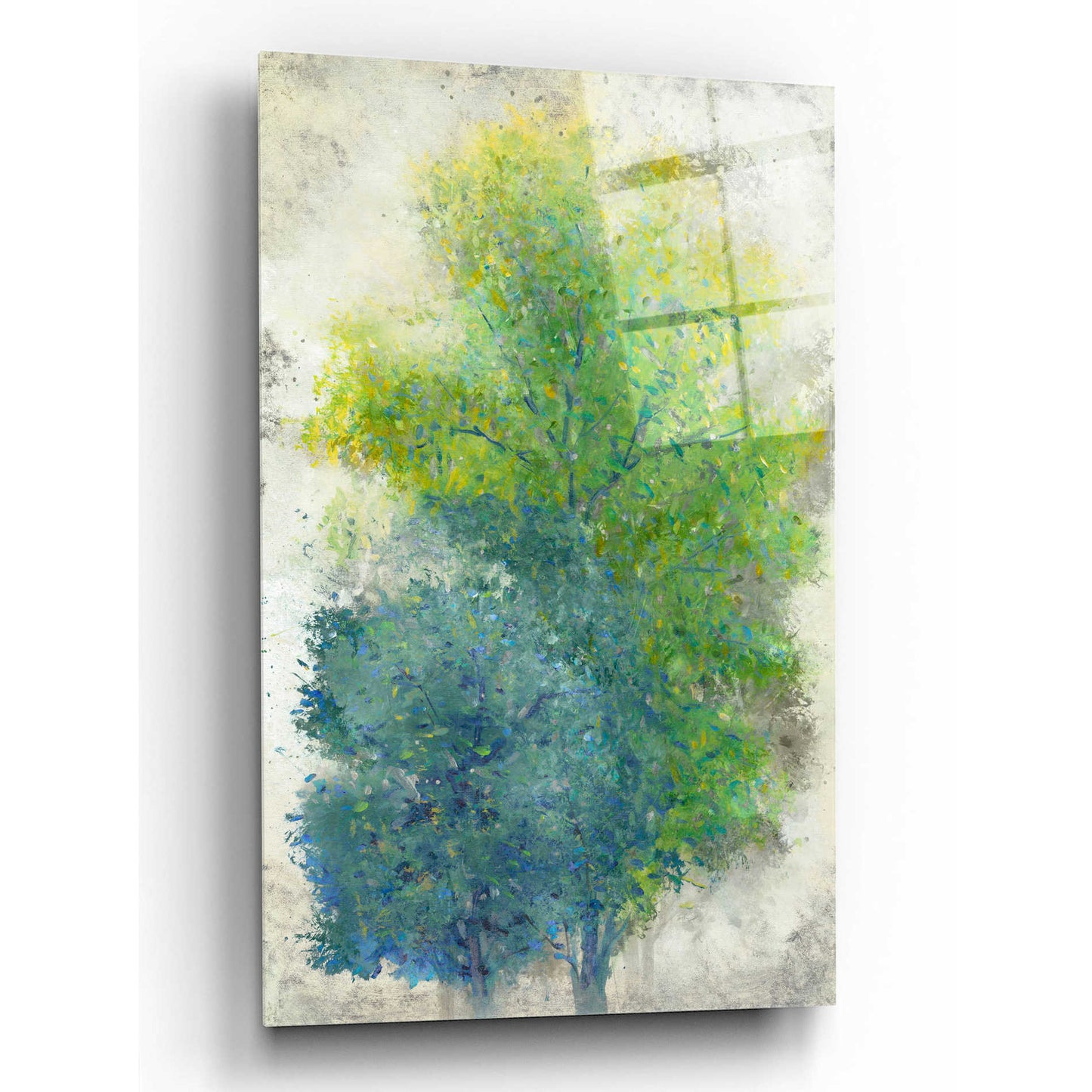 Epic Art 'A Pair of Trees II' by Tim O'Toole, Acrylic Glass Wall Art,16x24