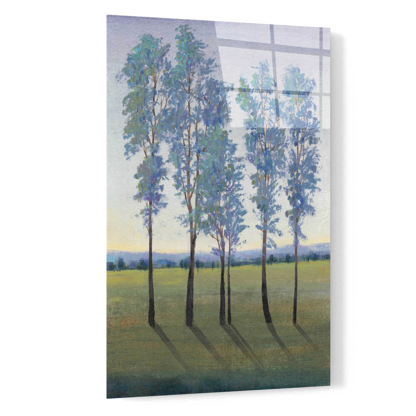 Epic Art 'Acreage II' by Tim O'Toole, Acrylic Glass Wall Art,16x24