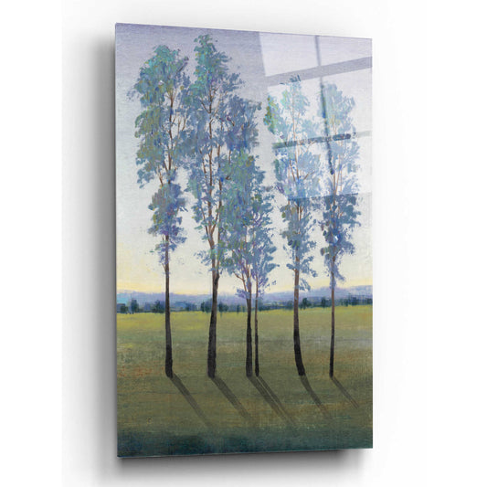 Epic Art 'Acreage II' by Tim O'Toole, Acrylic Glass Wall Art