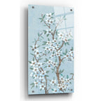 Epic Art 'Branches of Blossoms I' by Tim O'Toole, Acrylic Glass Wall Art,2:1
