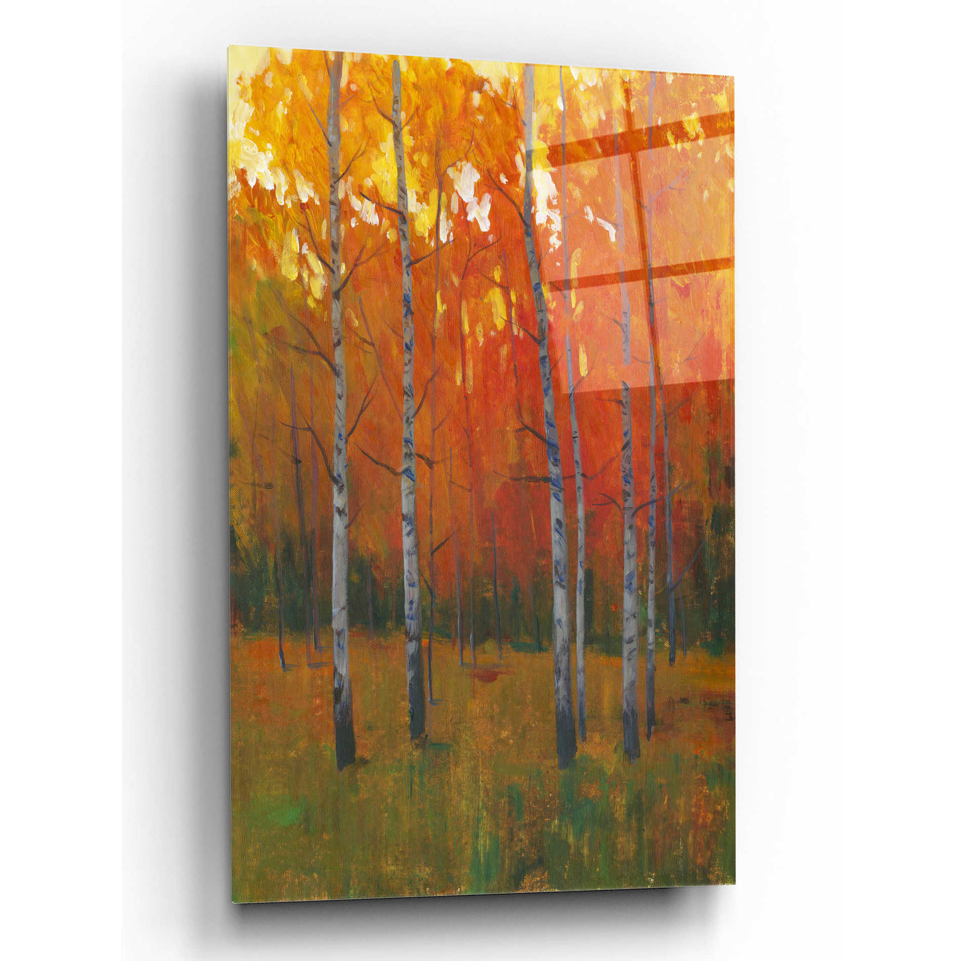 Epic Art 'Changing Colors I' by Tim O'Toole, Acrylic Glass Wall Art,12x16