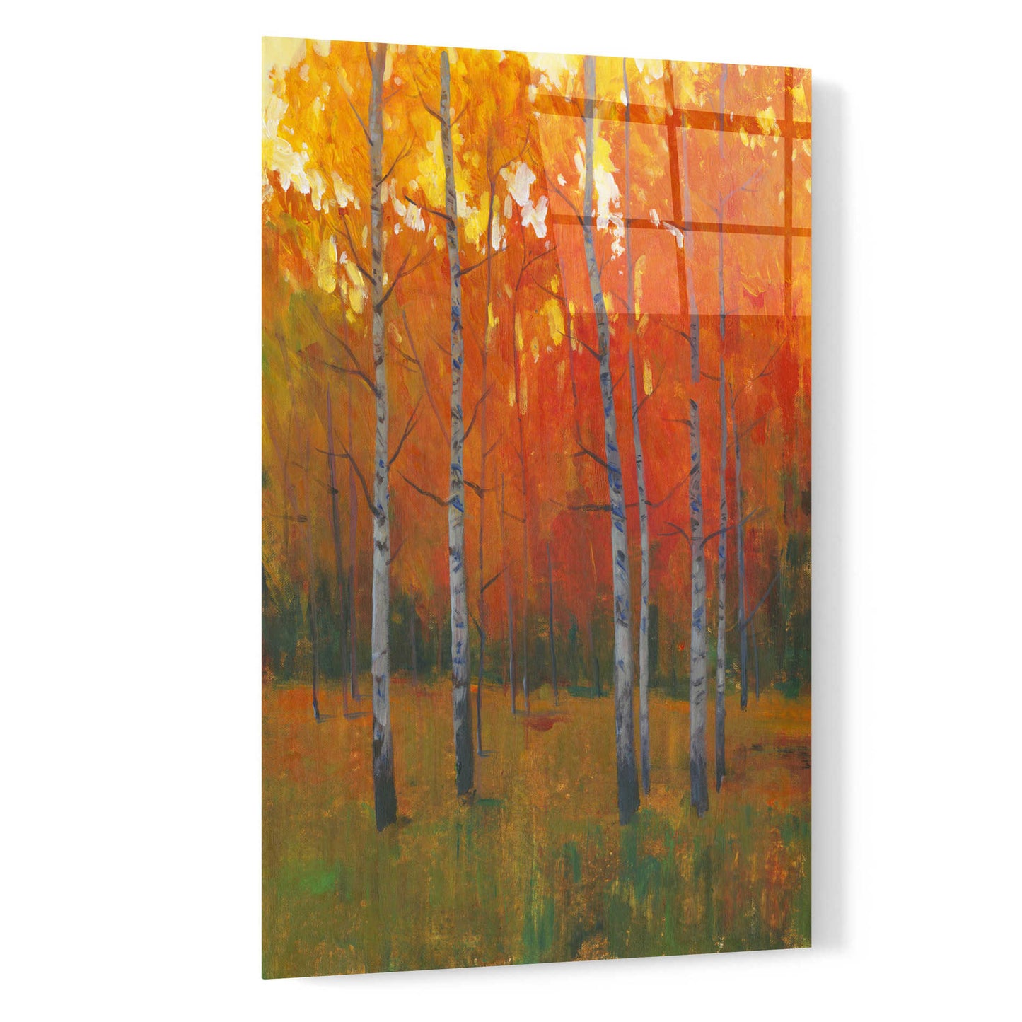Epic Art 'Changing Colors I' by Tim O'Toole, Acrylic Glass Wall Art,16x24