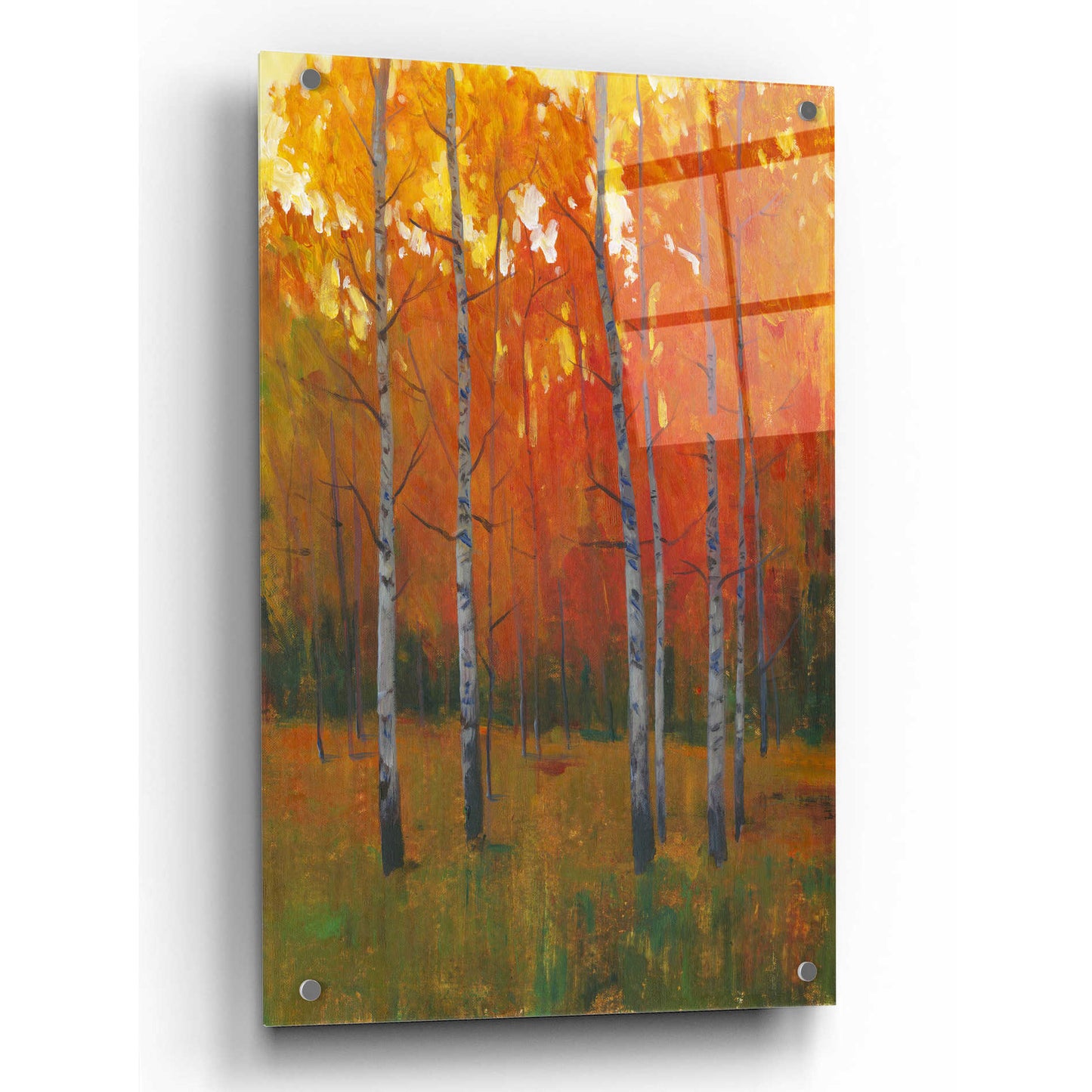 Epic Art 'Changing Colors I' by Tim O'Toole, Acrylic Glass Wall Art,24x36