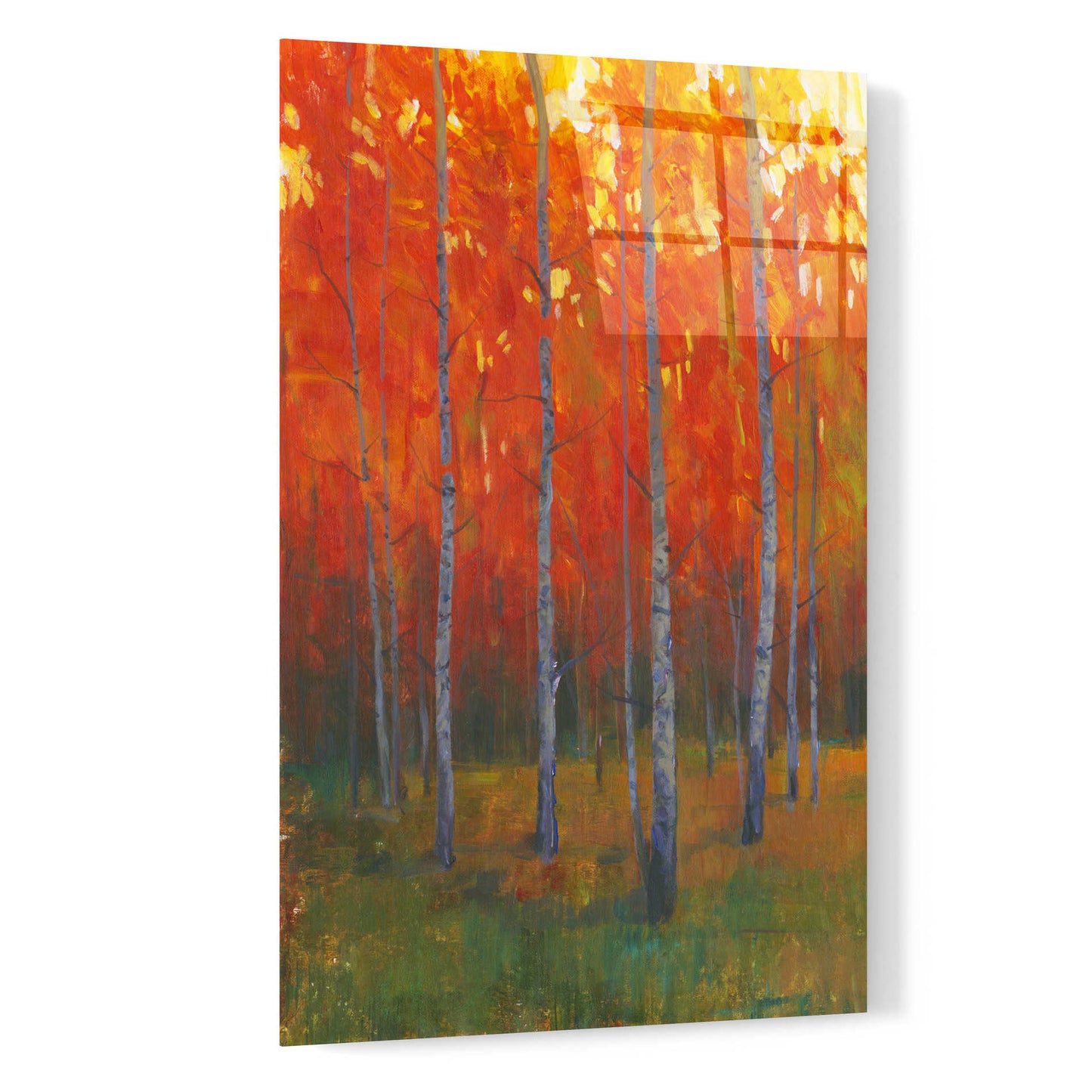 Epic Art 'Changing Colors II' by Tim O'Toole, Acrylic Glass Wall Art,16x24