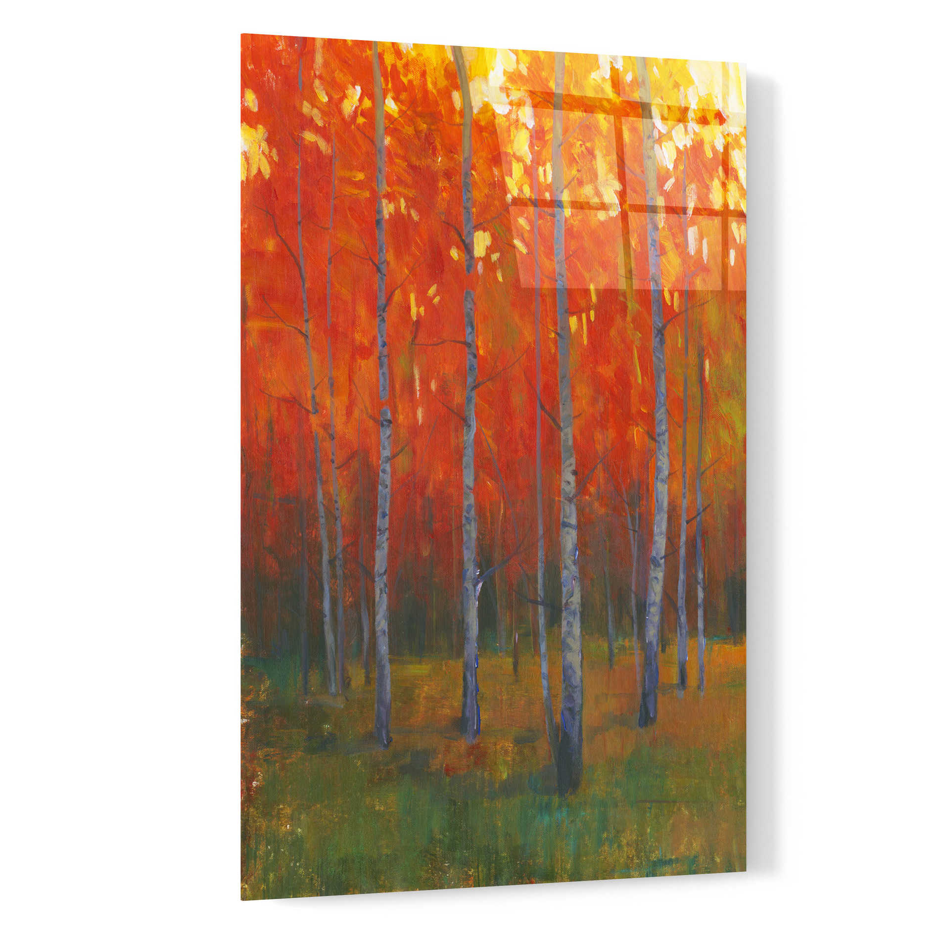 Epic Art 'Changing Colors II' by Tim O'Toole, Acrylic Glass Wall Art,16x24