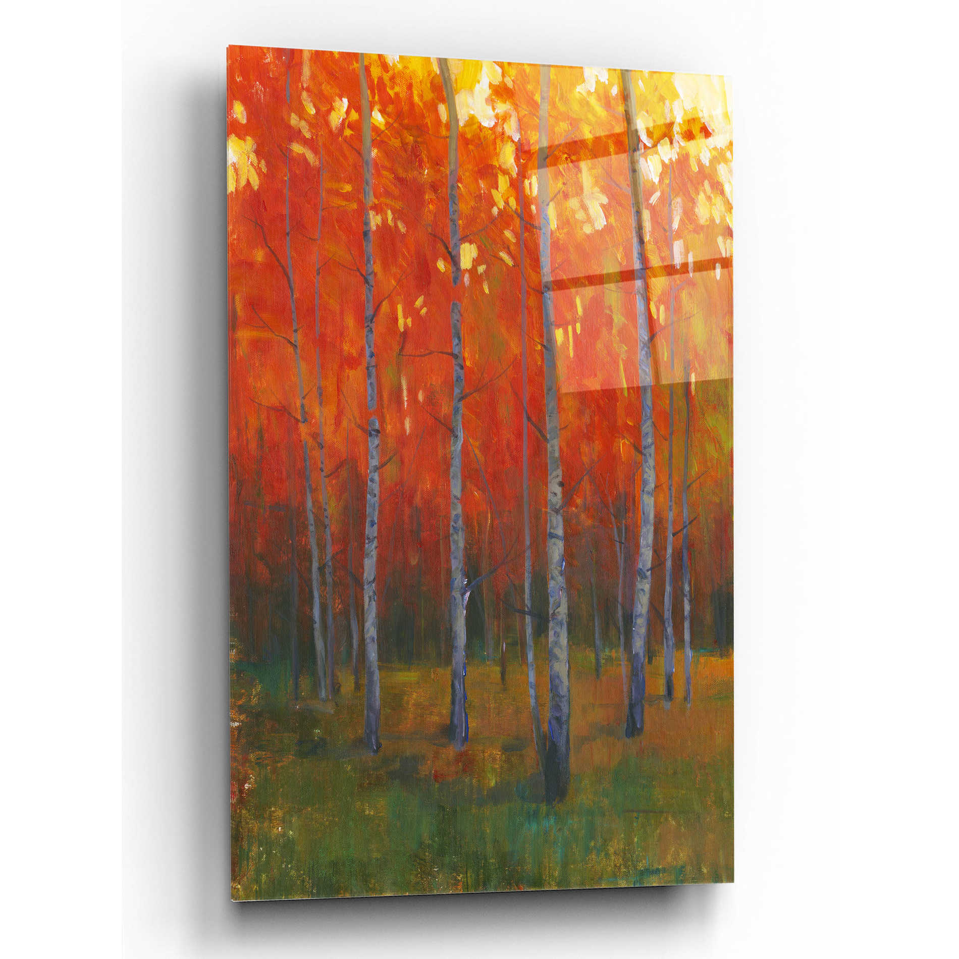 Epic Art 'Changing Colors II' by Tim O'Toole, Acrylic Glass Wall Art,16x24