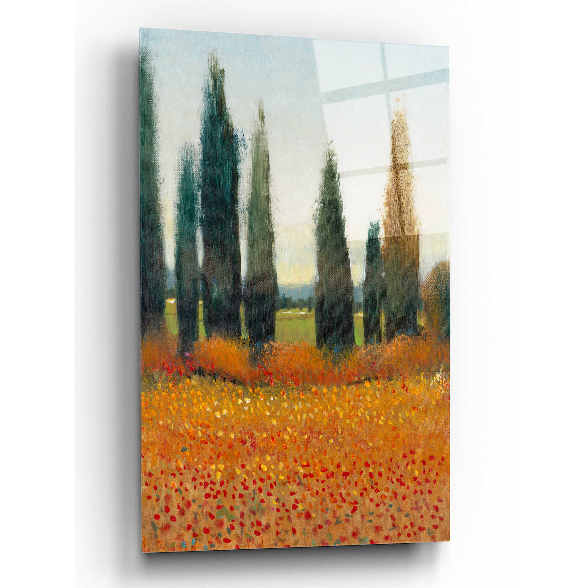 Epic Art 'Cypress Trees I' by Tim O'Toole, Acrylic Glass Wall Art,12x16