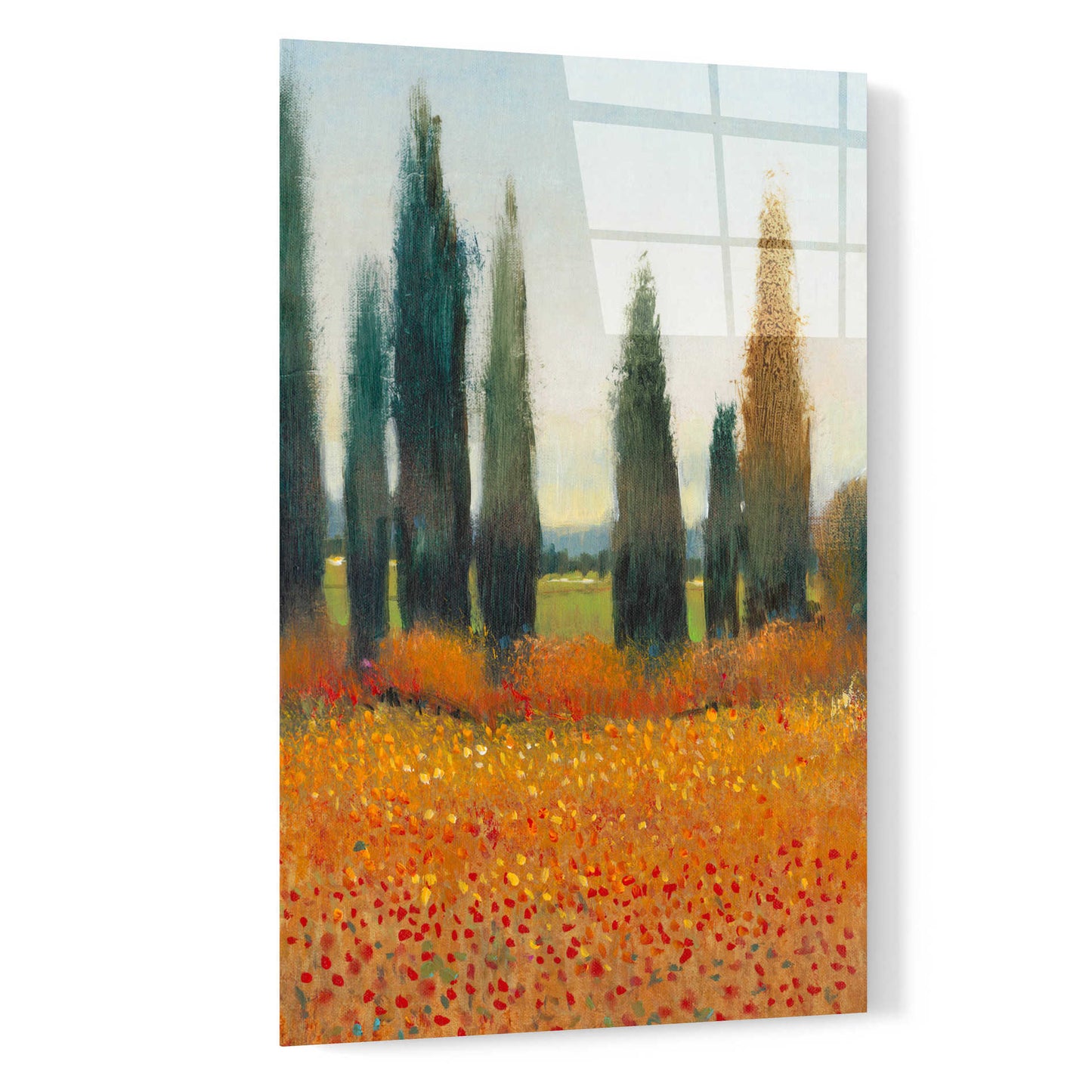 Epic Art 'Cypress Trees I' by Tim O'Toole, Acrylic Glass Wall Art,16x24