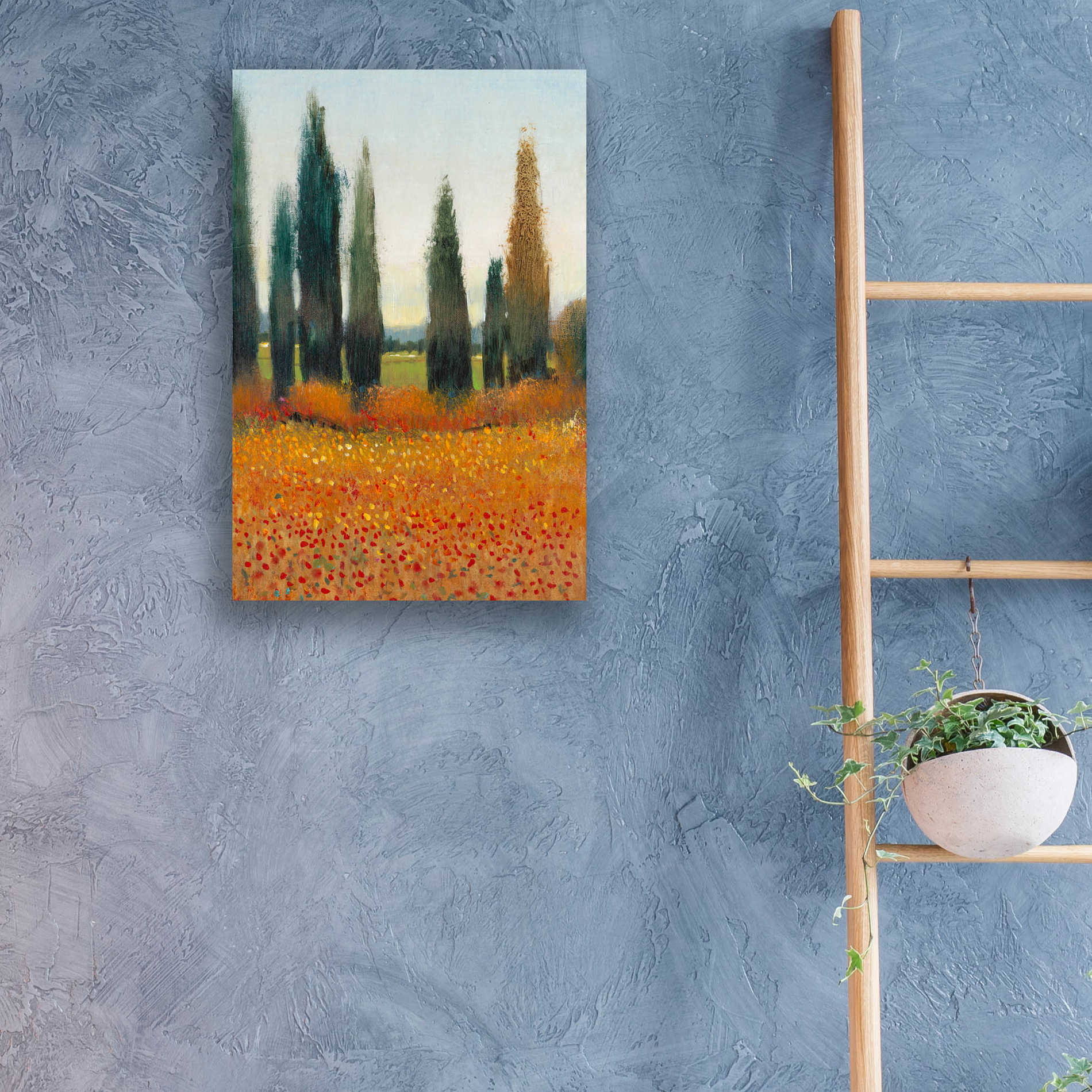 Epic Art 'Cypress Trees I' by Tim O'Toole, Acrylic Glass Wall Art,16x24